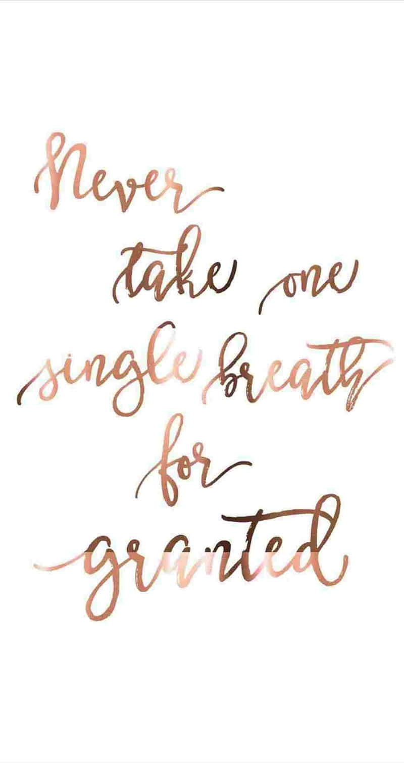Gratitude 桌布 壁紙 — 優雅的玫瑰金色草書文字在潔白背景上寫著「Never take one single breath for granted」。