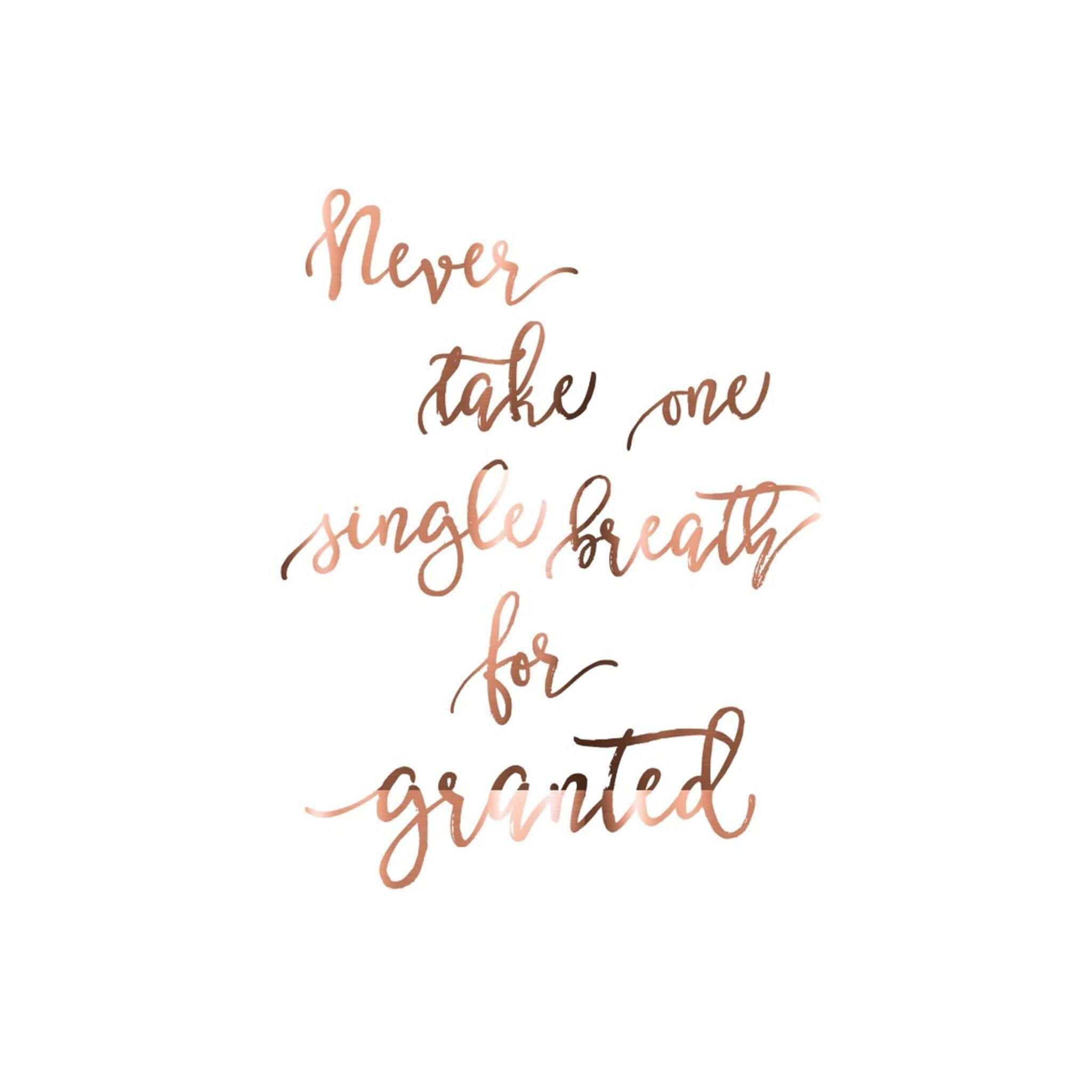 Rose Gold Quotes 桌布 壁紙 — 優雅的玫瑰金草書文字在潔白背景上寫著「Never take one single breath for granted」。