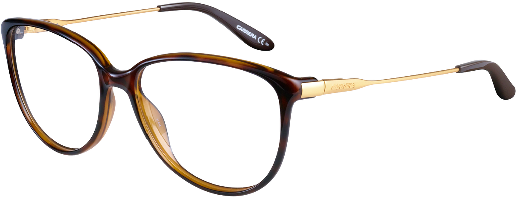 Eyeglasses 桌布 壁紙 — 優雅的玳瑁眼鏡，金色點綴，黑色鏡腿，純白背景。