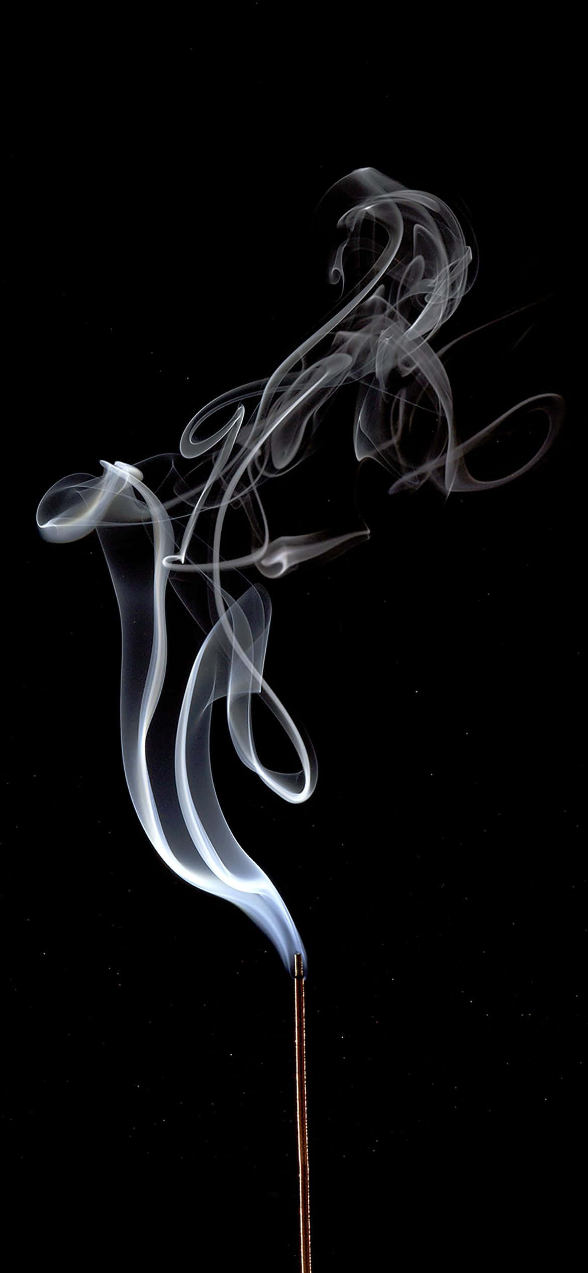 攝影 桌布 壁紙 — 優雅的白色煙霧從細細的香枝中裊裊升起，襯托在純黑背景之上。