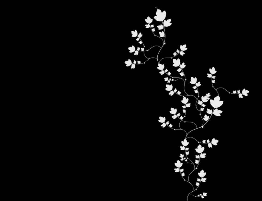 Beautiful Black And White 桌布 壁紙 — 優雅的白色花卉藤蔓，葉片與花朵沿對角線傾瀉而下，襯以純黑背景。