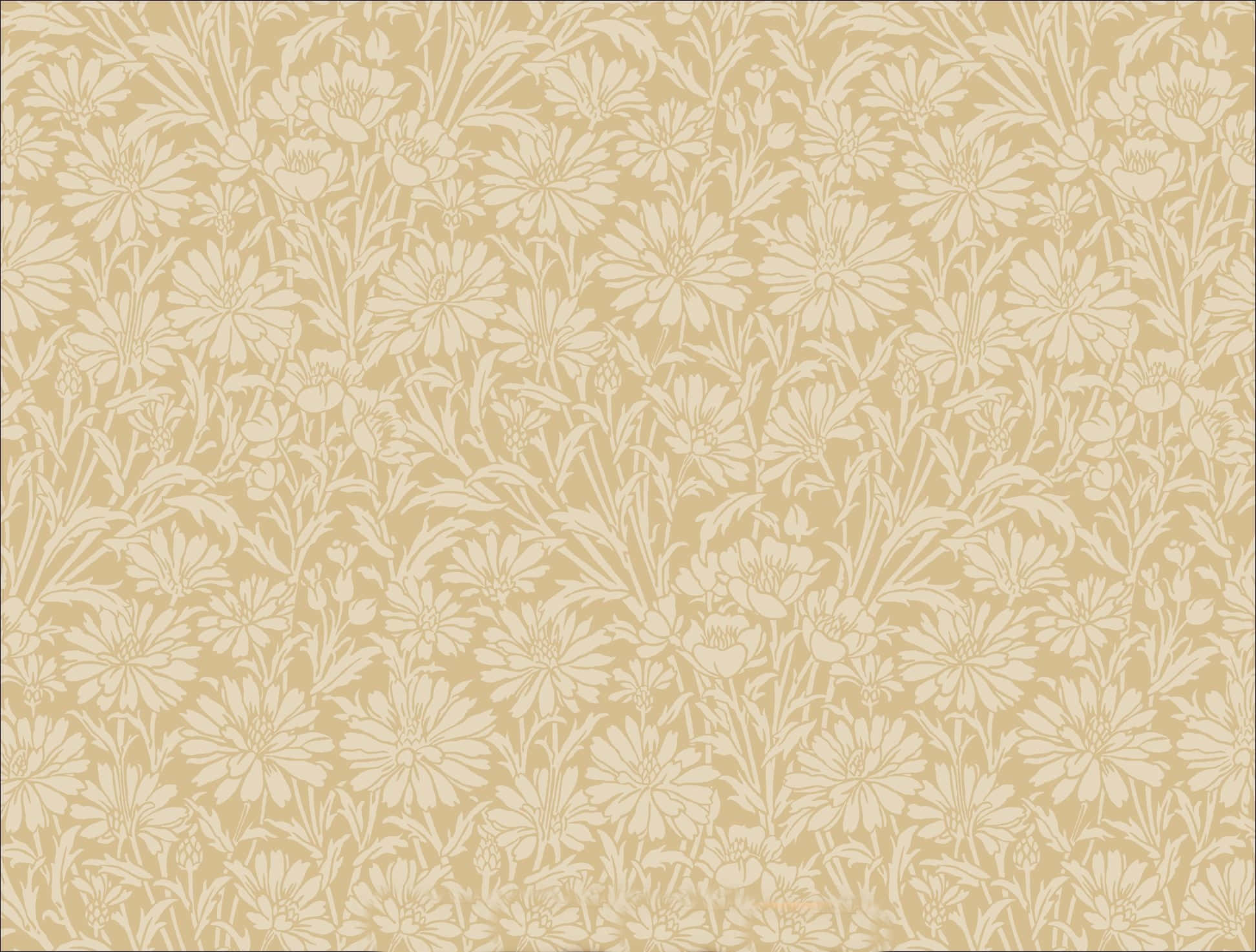 elegant 桌布 壁紙 — 優雅的米色壁紙，帶有柔和奶油色調的重複花卉圖案。
