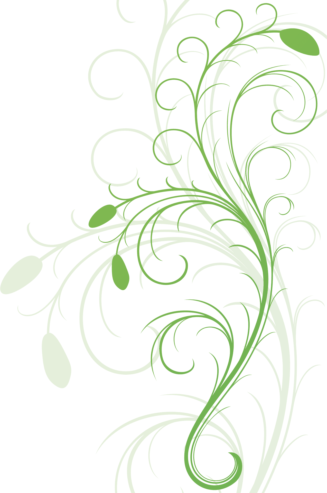 Daun 桌布 壁紙 — 優雅的綠色和白色花卉藤蔓旋轉，帶有淚滴形花蕾，在 stark 黑色背景上動態升起。