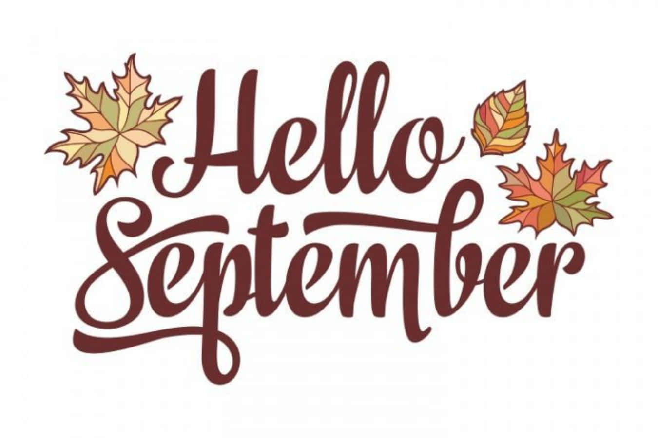 Hello 桌布 壁紙 — 優雅的草書文字寫著Hello September，周圍是色彩繽紛的秋天楓葉，背景是乾淨的白色。