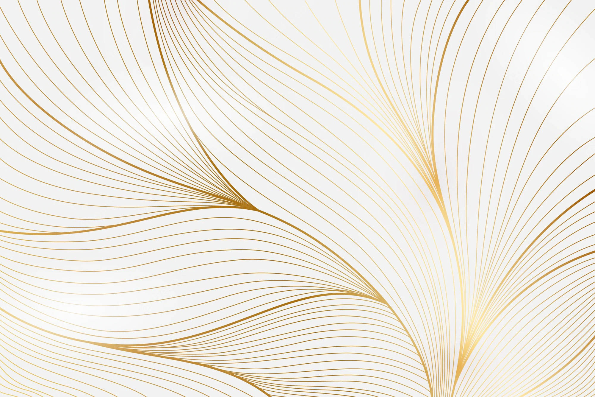 White And Gold 桌布 壁紙 — 優雅的金色線條在柔軟的白色背景上優美流動，形成奢華的抽象圖案。