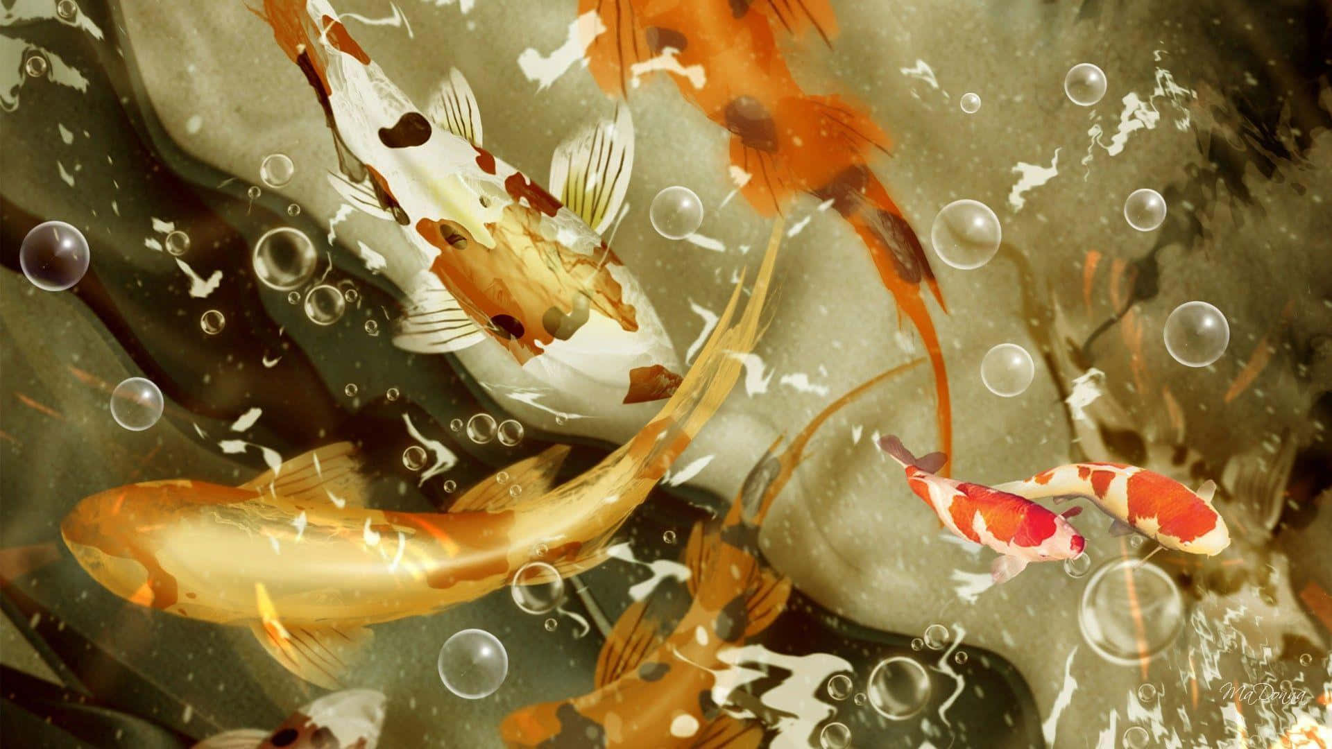 Koi Fish 桌布 壁紙 — 優雅的錦鯉在寧靜的池塘場景中，游過佈滿浮泡的渾濁水域。