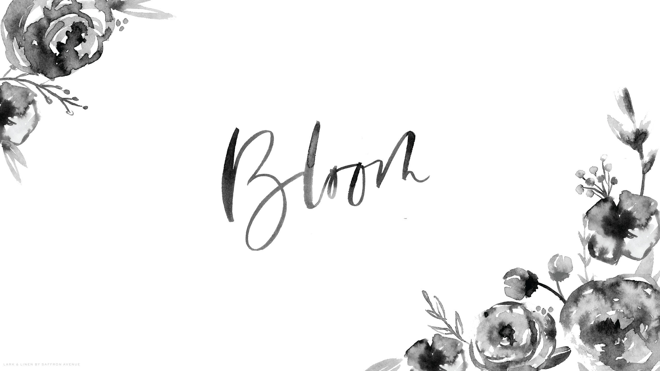 Monochrome 桌布 壁紙 — 優雅的黑白水彩花卉角落框住了「Bloom」這個詞，以流暢的手寫體呈現在潔白的背景上。