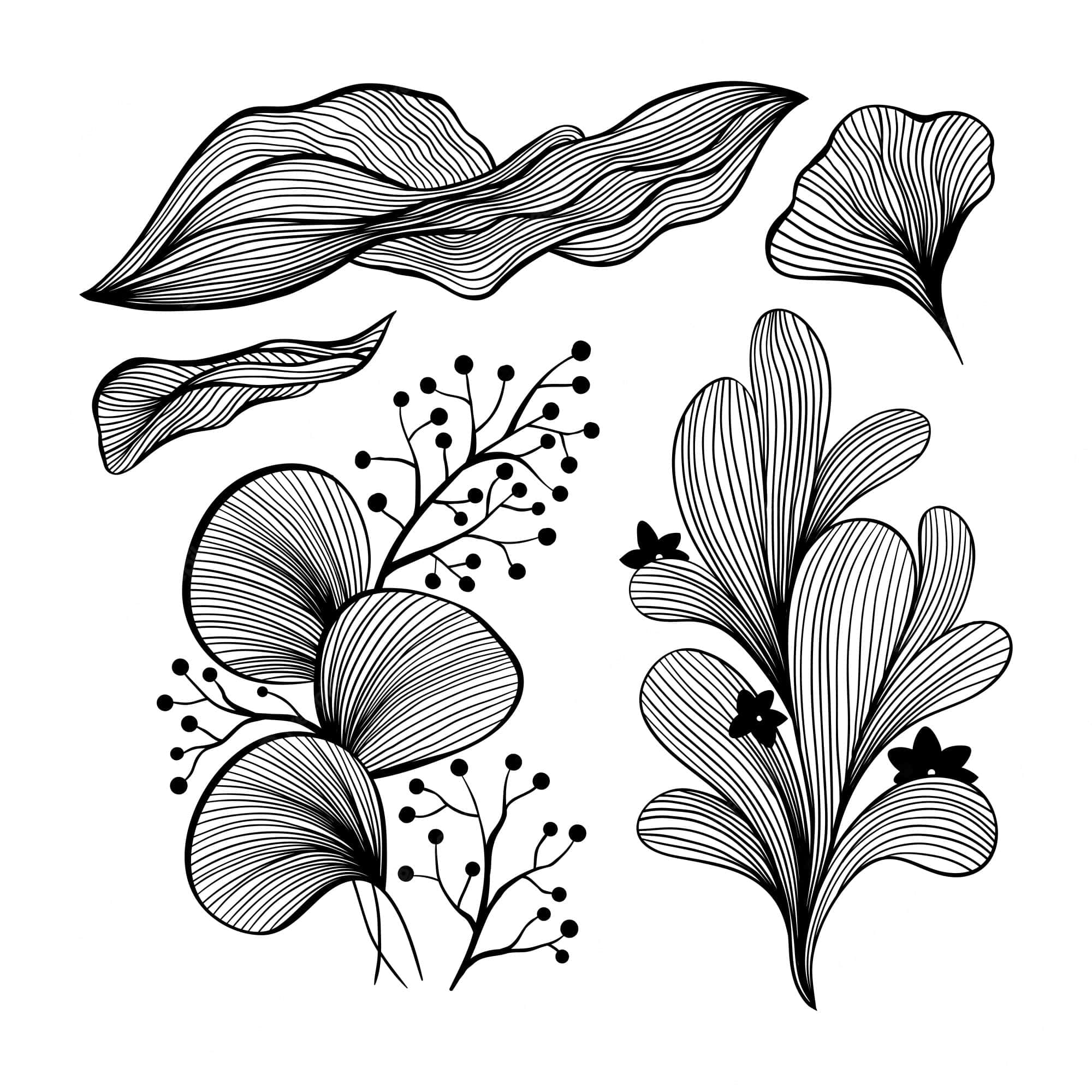 黑色藝術 桌布 壁紙 — 優雅的黑白線條藝術插圖，描繪風格化的葉子和花朵，帶有複雜的平行筆觸。