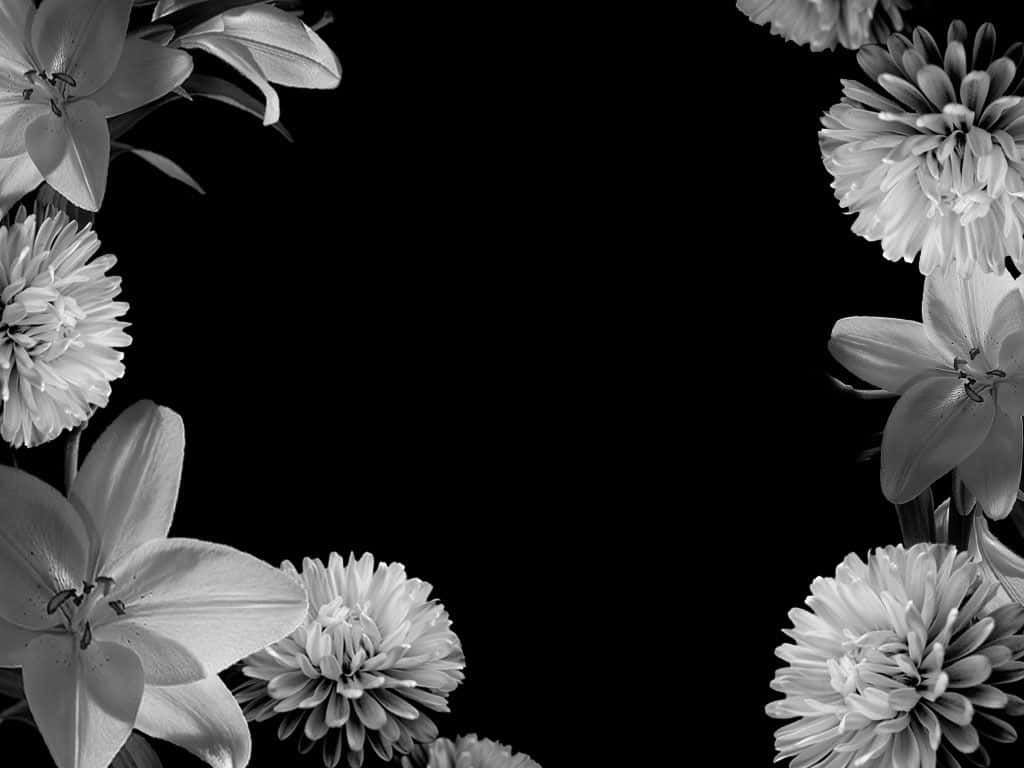 Beautiful Black And White 桌布 壁紙 — 優雅的黑白花卉邊框，以百合和雛菊環繞一個黑暗的空白區域。