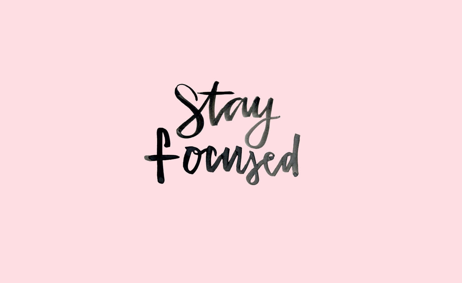 Focus 桌布 壁紙 — 優雅的黑色書法字體「Stay Focused」在柔和粉紅色背景上格外突出。
