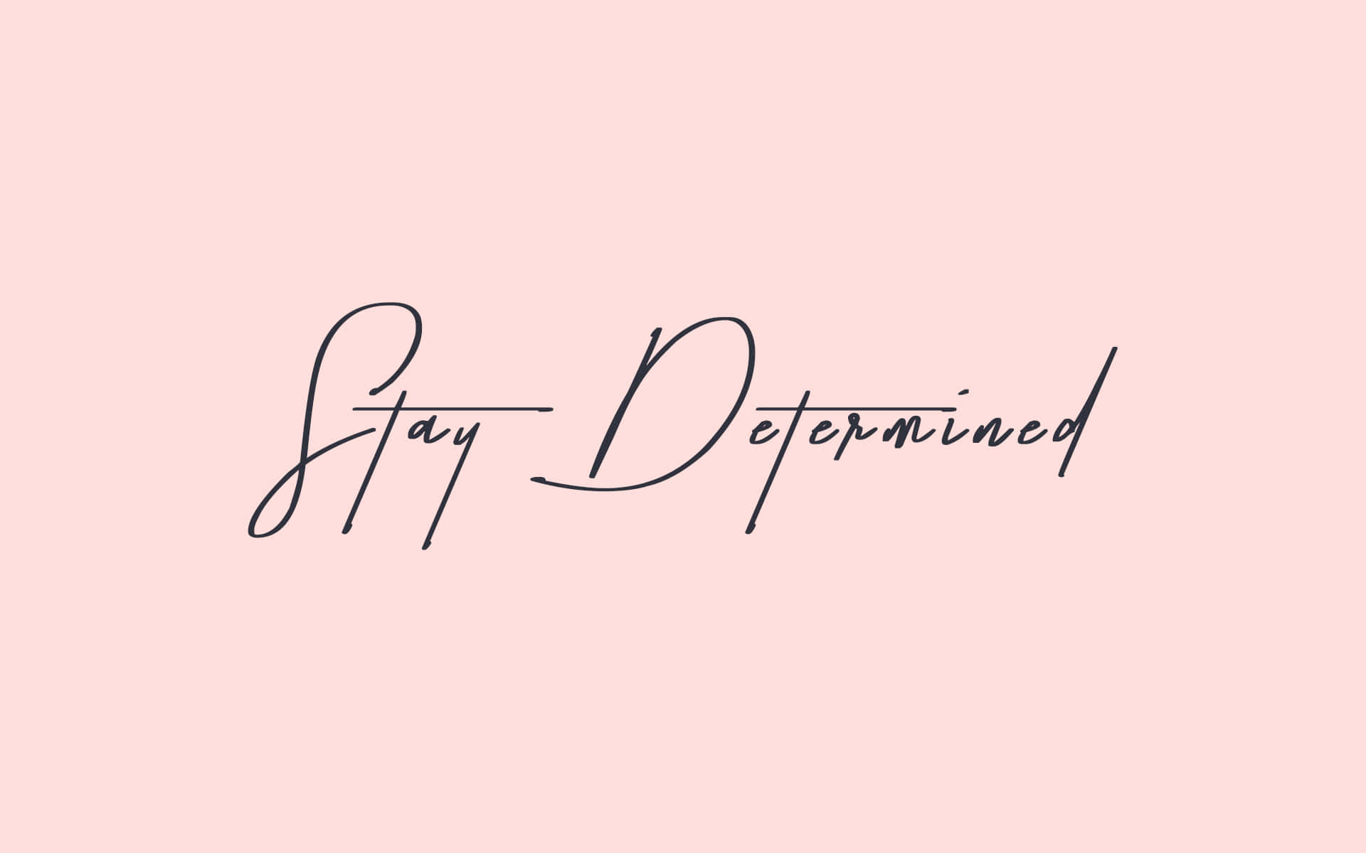 Rose Gold Desktop 桌布 壁紙 — 優雅的黑色草書文字「Stay Determined」居中顯示在柔和的粉紅色背景上。