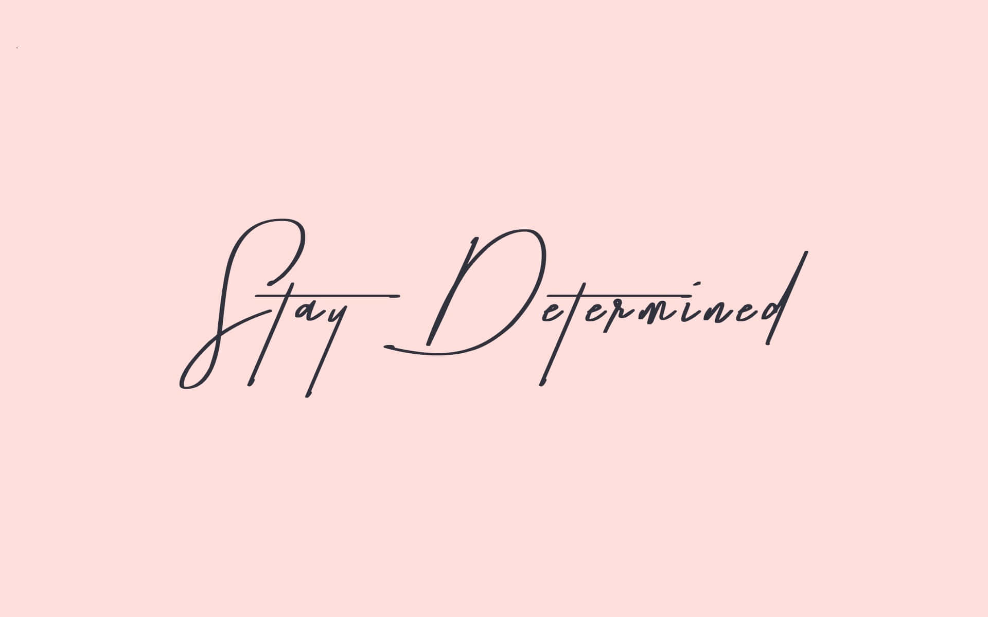 可愛粉色動圖 桌布 壁紙 — 優雅的黑色草書文字「Stay Determined」居中於柔和的粉紅色背景上。
