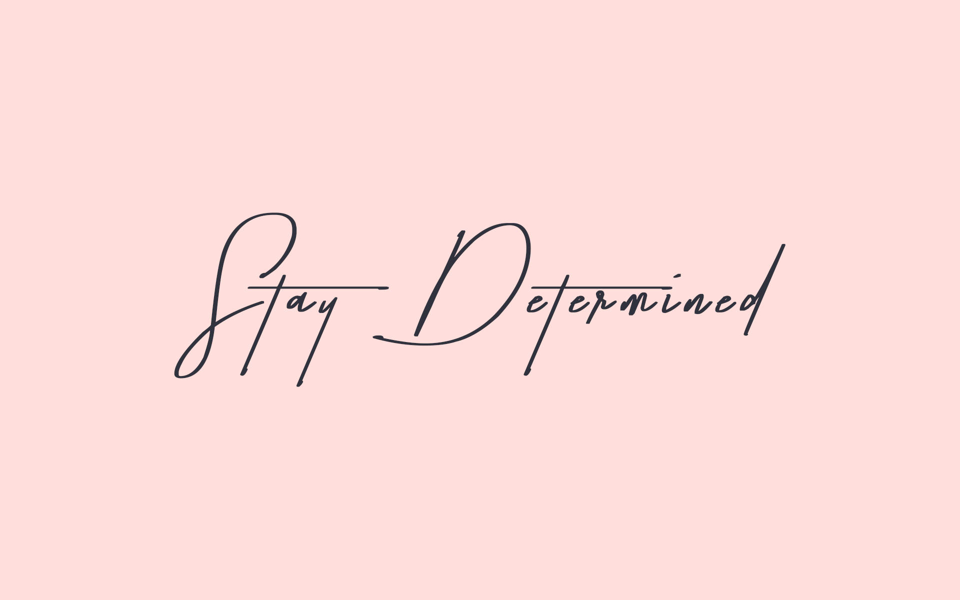 桌布 壁紙 — 優雅的黑色草書文字「Stay Determined」居中顯示在柔和的粉紅色背景上。