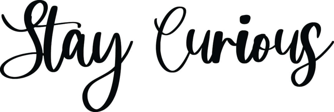 Inquisitive 桌布 壁紙 — 優雅的黑色草書文字，在潔白背景上寫著「Stay Curious」。