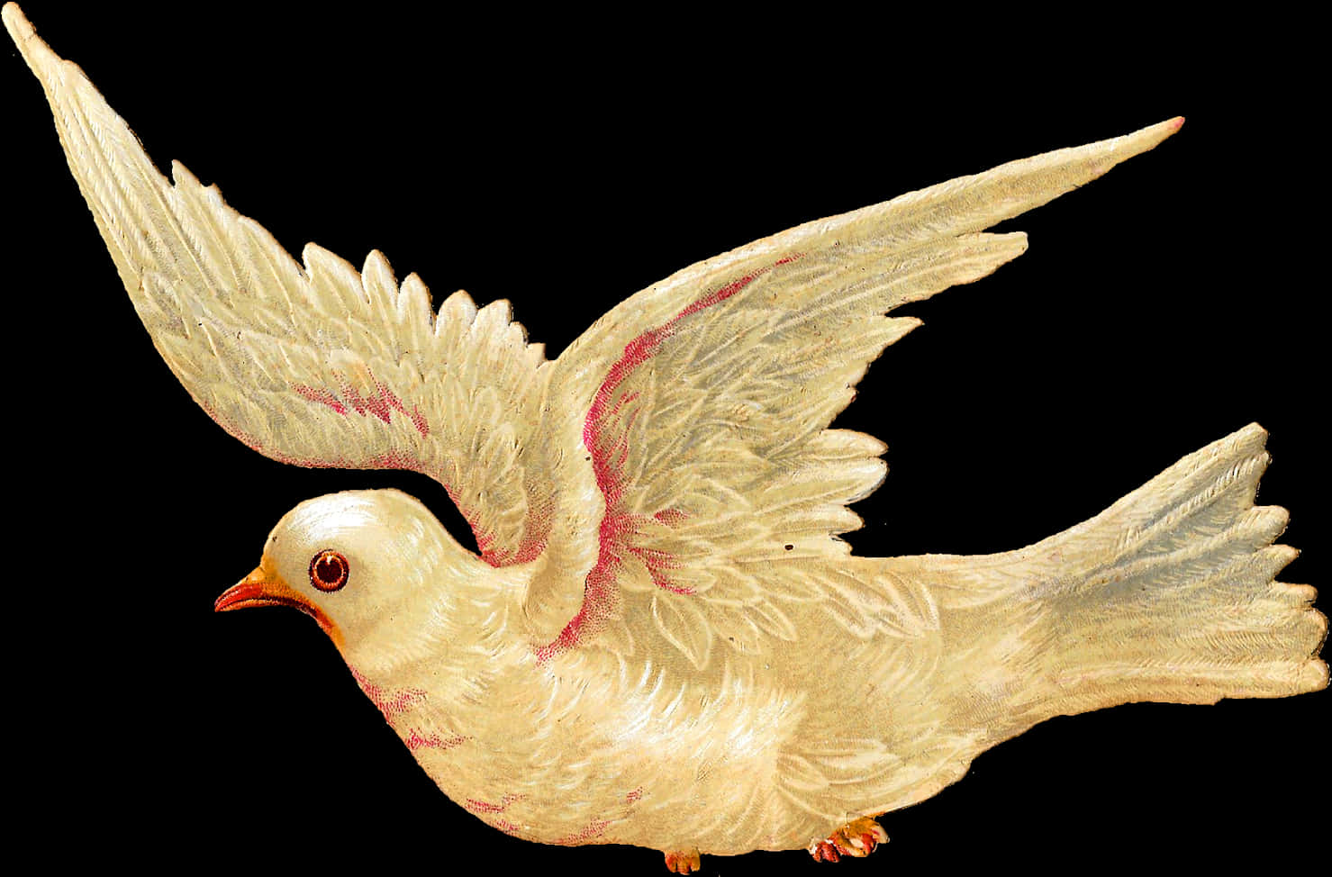 優雅飛翔的鴿子插圖 壁紙