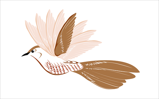 優雅鳥類插畫 壁紙