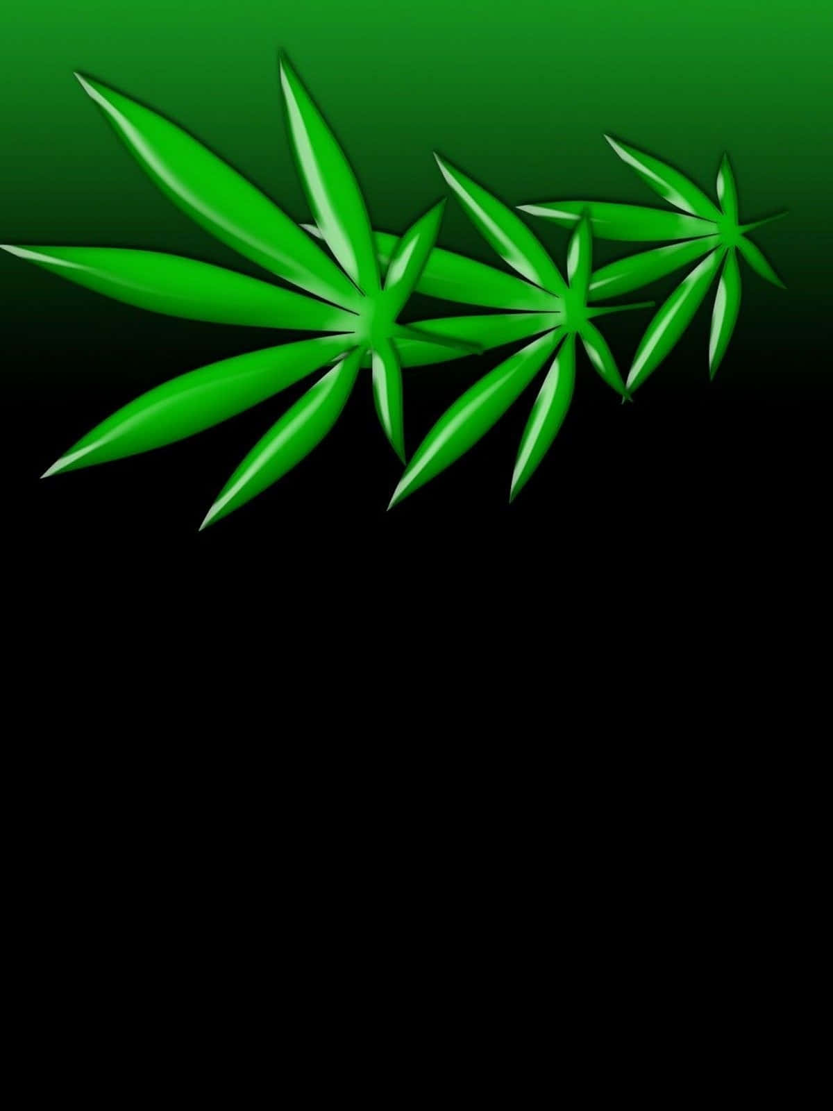 迷幻 桌布 壁紙 — 充滿光澤的鮮綠色大麻葉在黑色到綠色的漸變背景上漂浮。