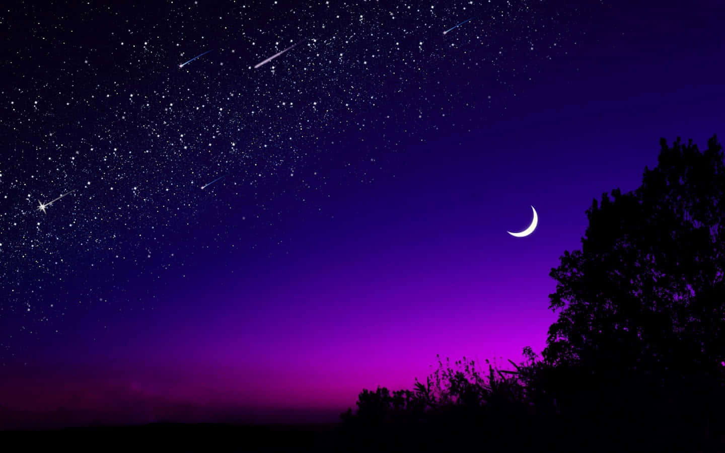 Starry Sky 桌布 壁紙 — 充滿星星和流星的充滿活力的紫色夜空，上方有新月，下方有樹木剪影。