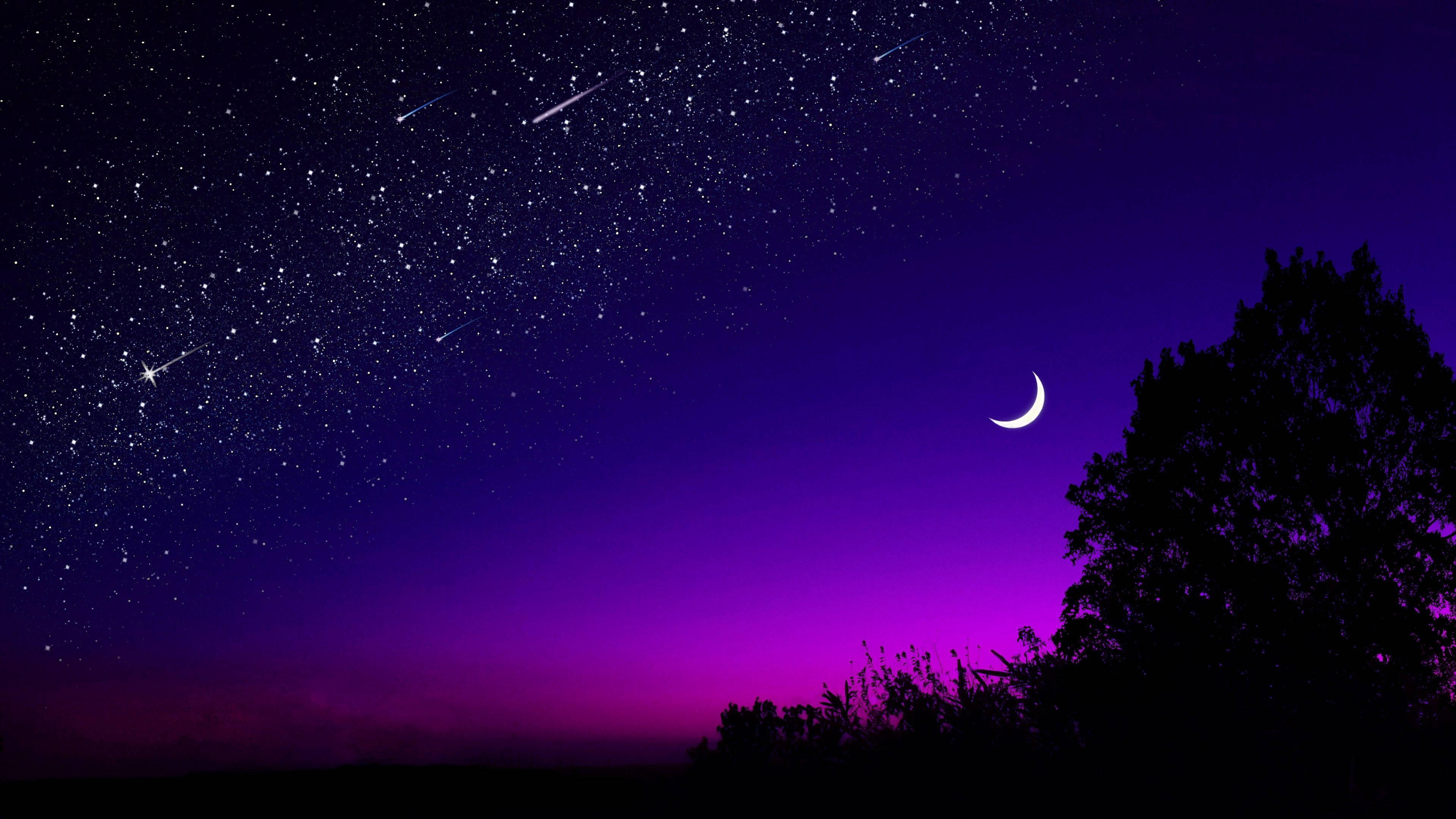 黑夜 桌布 壁紙 — 充滿星星和流星的鮮豔紫色夜空，上方有新月剪影的樹。