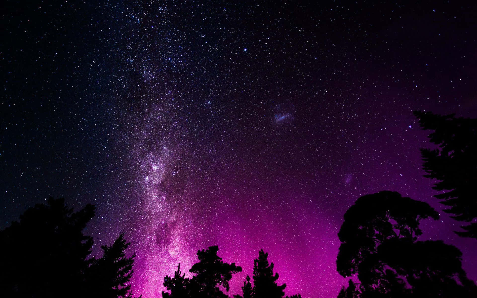 粉紅銀河 桌布 壁紙 — 充滿星星和銀河系的充滿活力的紫色和藍色夜空在黑暗的樹木剪影上拱起。