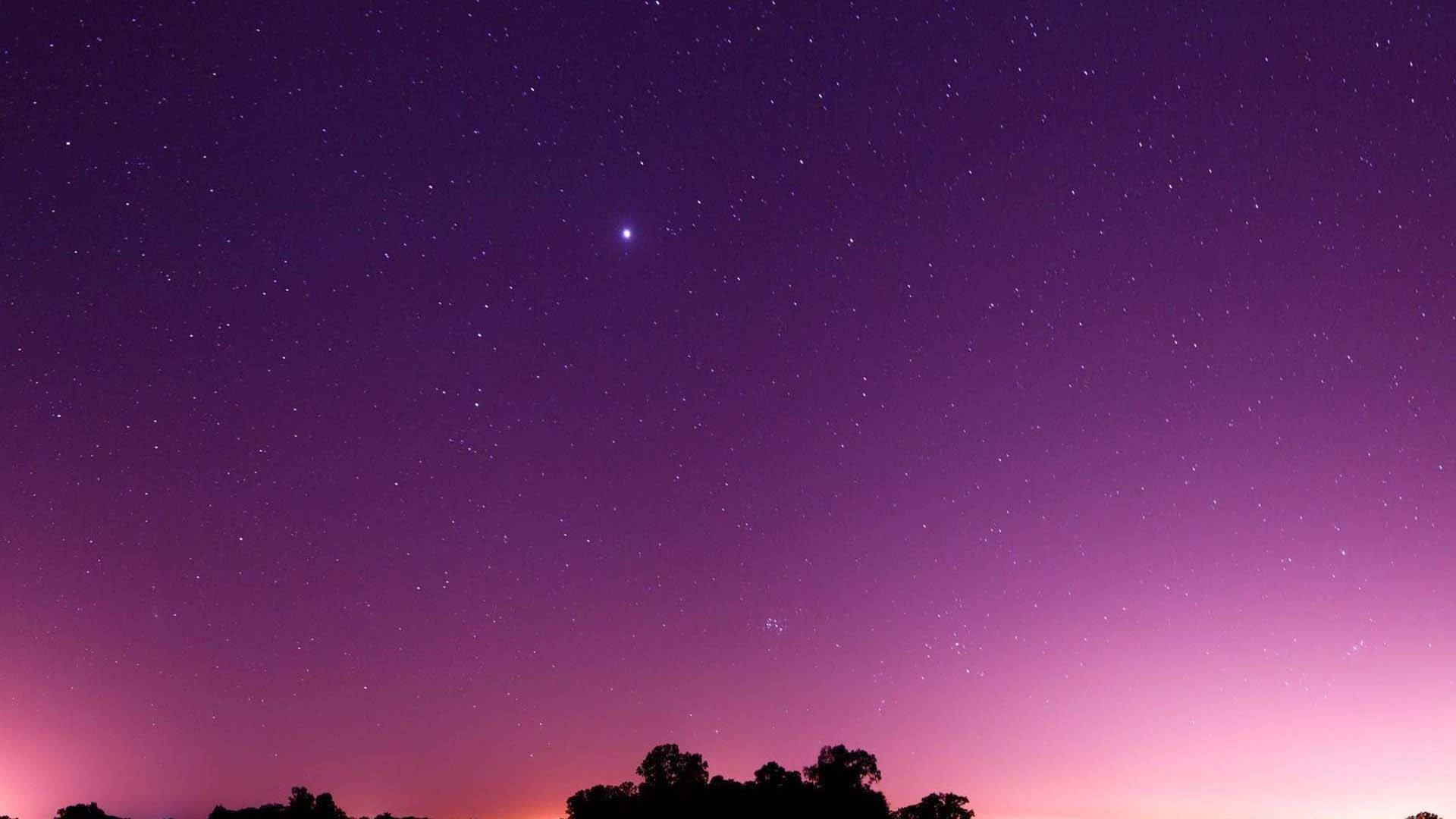 紫色美學 桌布 壁紙 — 充滿星星的紫色和粉紅色暮色天空，上方有黑暗樹木剪影。