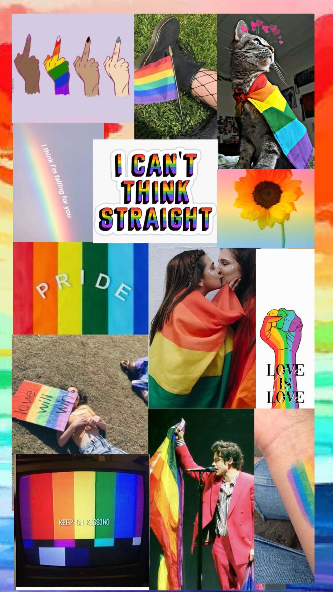 Pride Aesthetic 桌布 壁紙 — 充滿活力的 LGBTQ+ 驕傲拼貼畫，包含彩虹旗、手、貓、向日葵、情侶和彩虹主題文字。