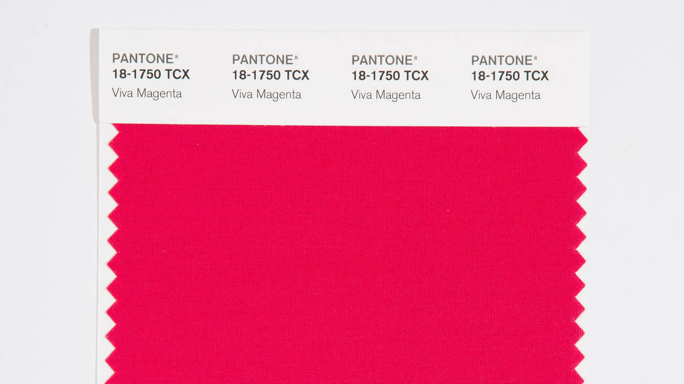 藝術 桌布 壁紙 — 充滿活力的 Pantone Viva Magenta 布料樣本，帶有清晰的白色標籤，背景為純白色。