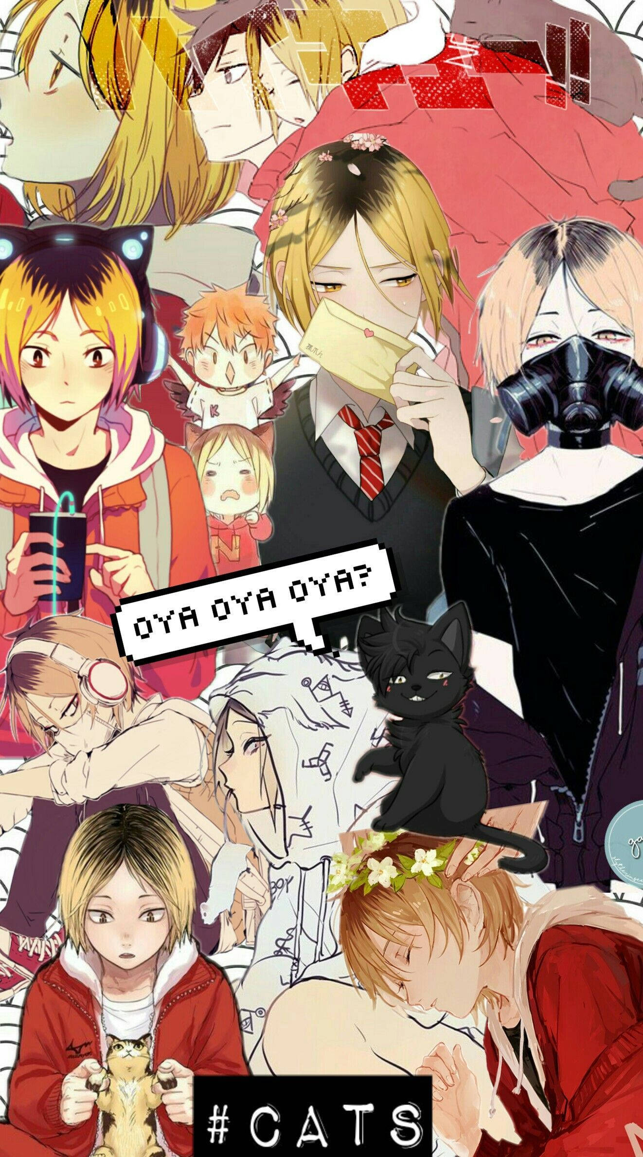 Kenma Kozume 桌布 壁紙 — 充滿活力的動漫拼貼畫，包含多樣化的角色、貓咪和醒目的紅色點綴。
