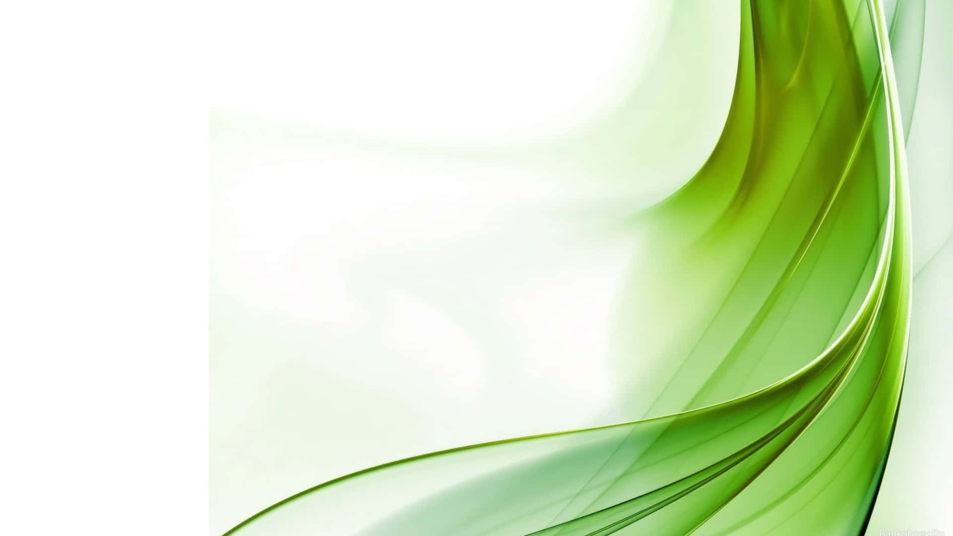 Green And White 桌布 壁紙 — 充滿活力的半透明綠色絲帶在柔和的白色背景上優雅地流動，呈現流暢的抽象設計。