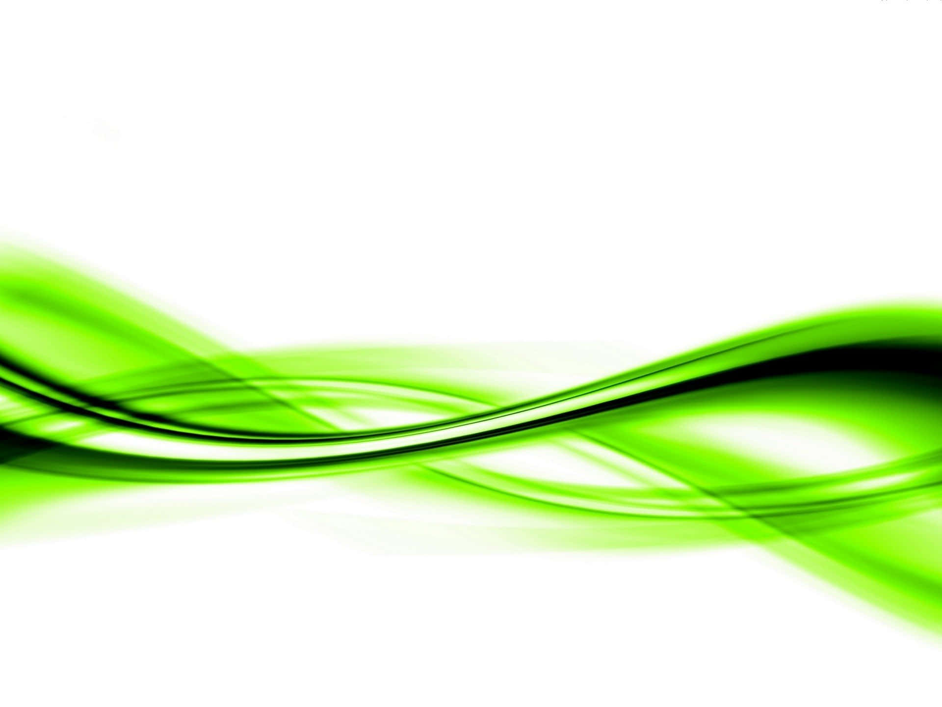 Green And White 桌布 壁紙 — 充滿活力的半透明綠色絲帶在純白色背景上以平滑的波浪運動優雅地流動。