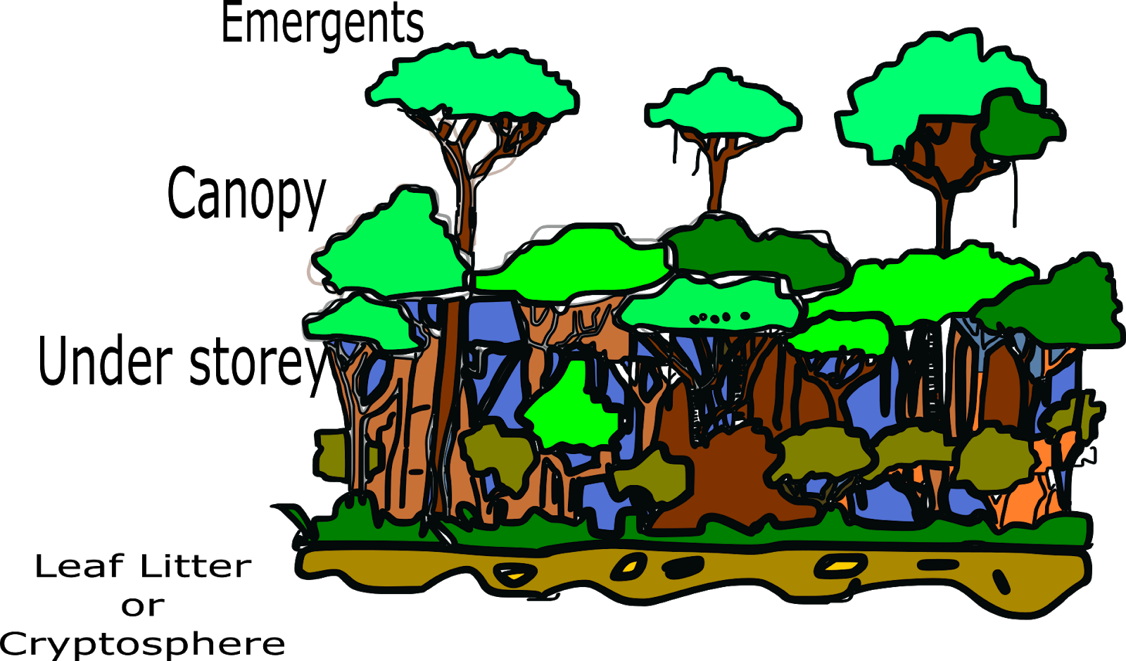 Rainforest 桌布 壁紙 — 充滿活力的卡通森林，黑色背景上閃爍著綠色樹木和棕色樹幹。