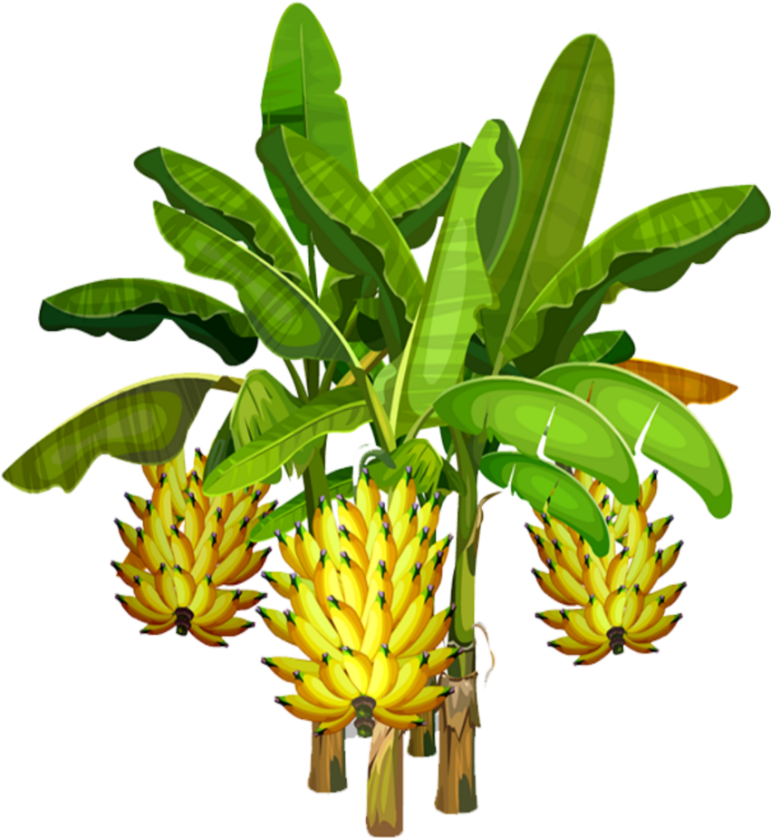 Banana Tree 桌布 壁紙 — 充滿活力的卡通香蕉植物，有三串成熟的黃色香蕉和大的綠色葉子，背景為黑色。