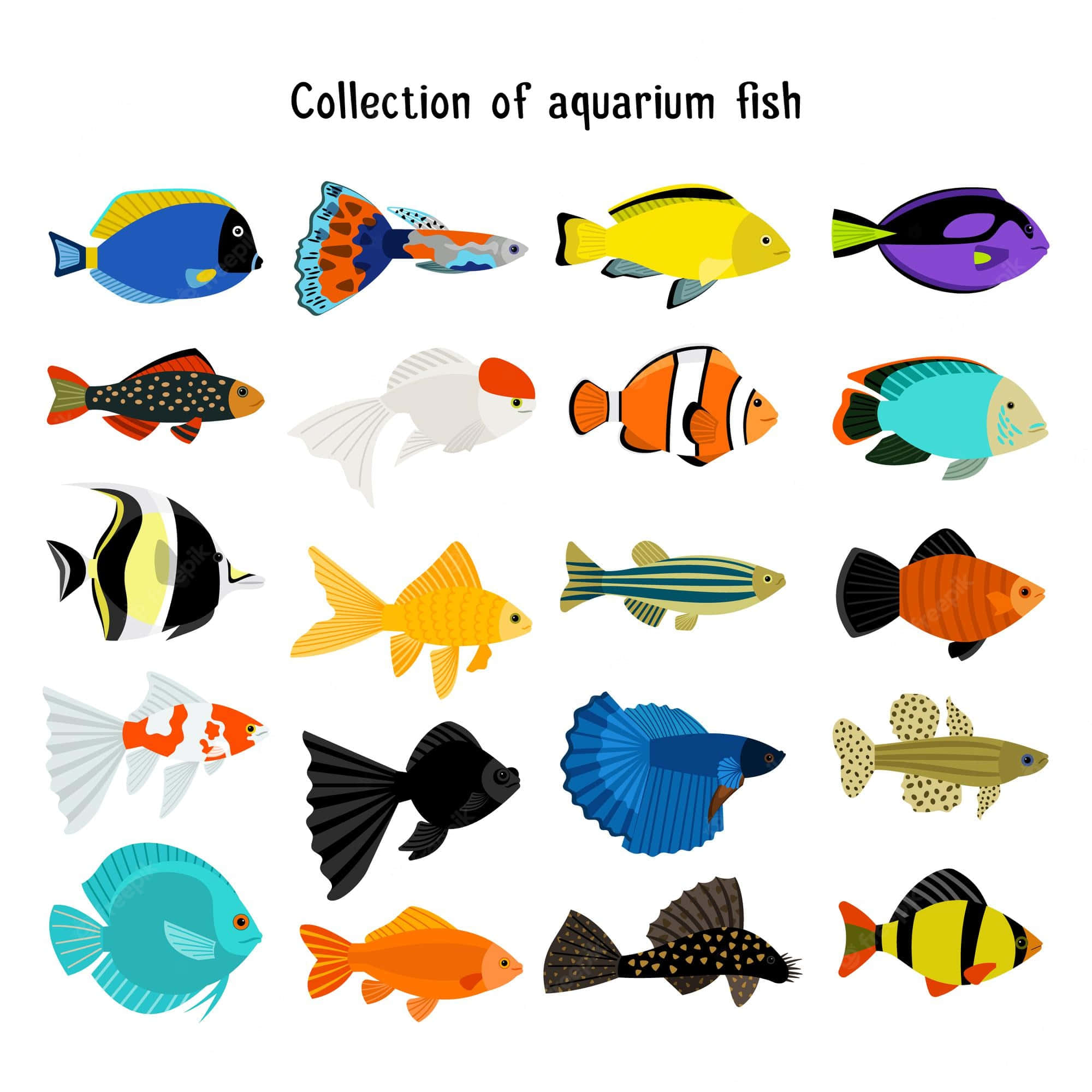 桌布 壁紙 — 充滿活力的卡通魚圖標以網格排列，展示多樣化的熱帶水族館物種，色彩大膽，形狀簡化。