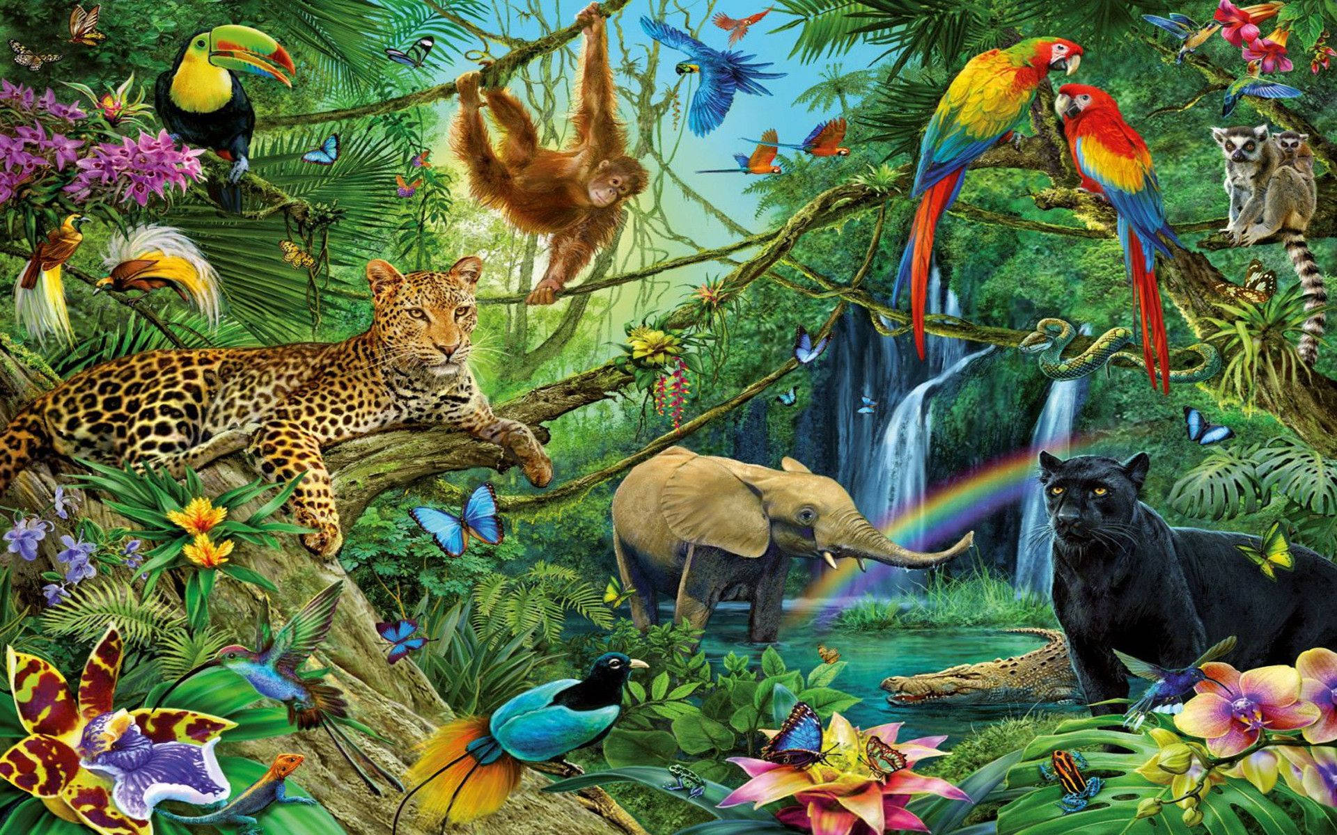 Leopard 桌布 壁紙 — 充滿活力的叢林，在彩虹瀑布下，有美洲豹、鸚鵡、猴子和象群。