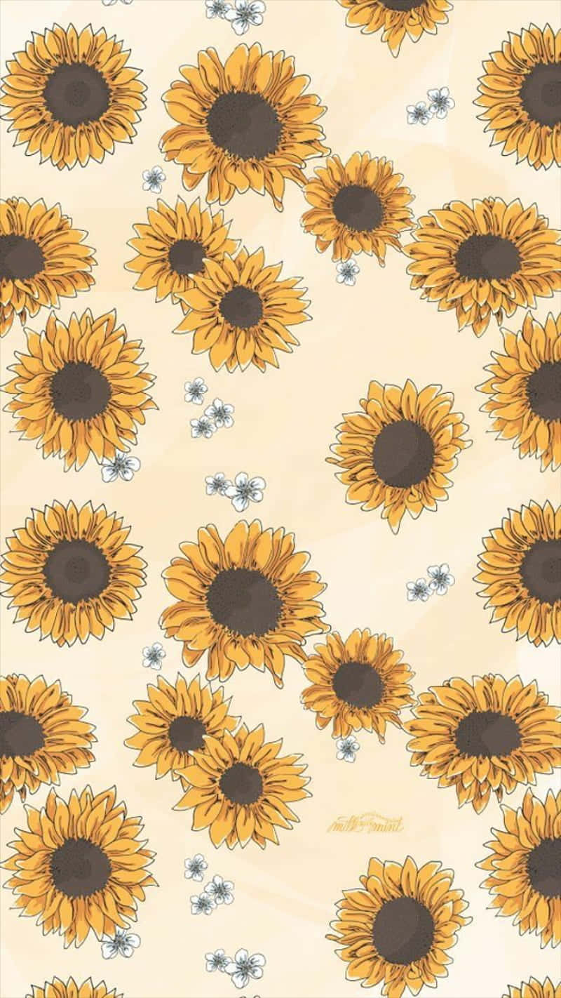 Sunflower Yellow 桌布 壁紙 — 充滿活力的向日葵，深色花心，精緻的白色花朵，在柔和的奶油色背景上重複圖案。