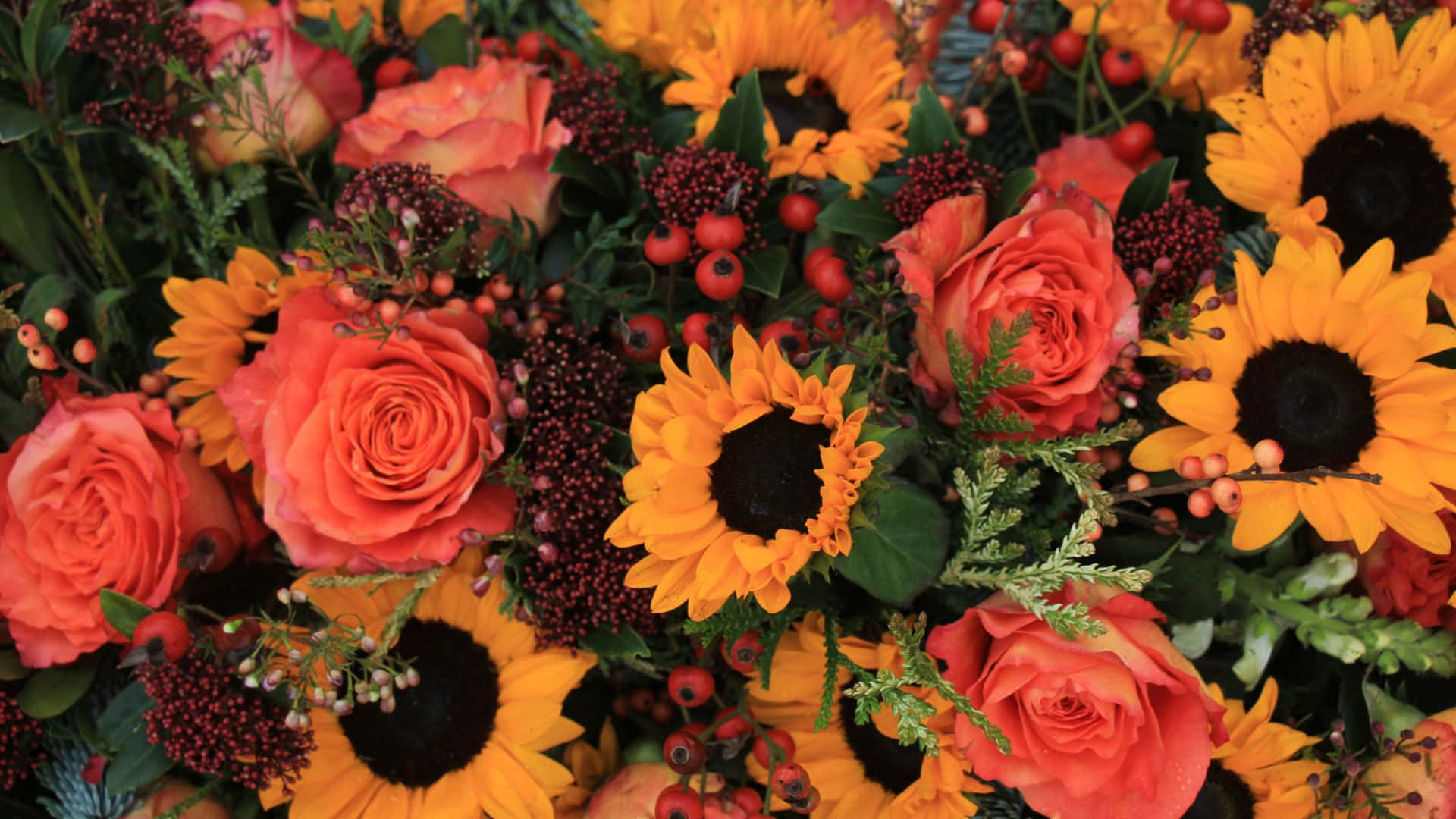 Roses 桌布 壁紙 — 充滿活力的向日葵和珊瑚玫瑰花束，點綴著紅色漿果和綠葉，呈現豐富的秋日色調。