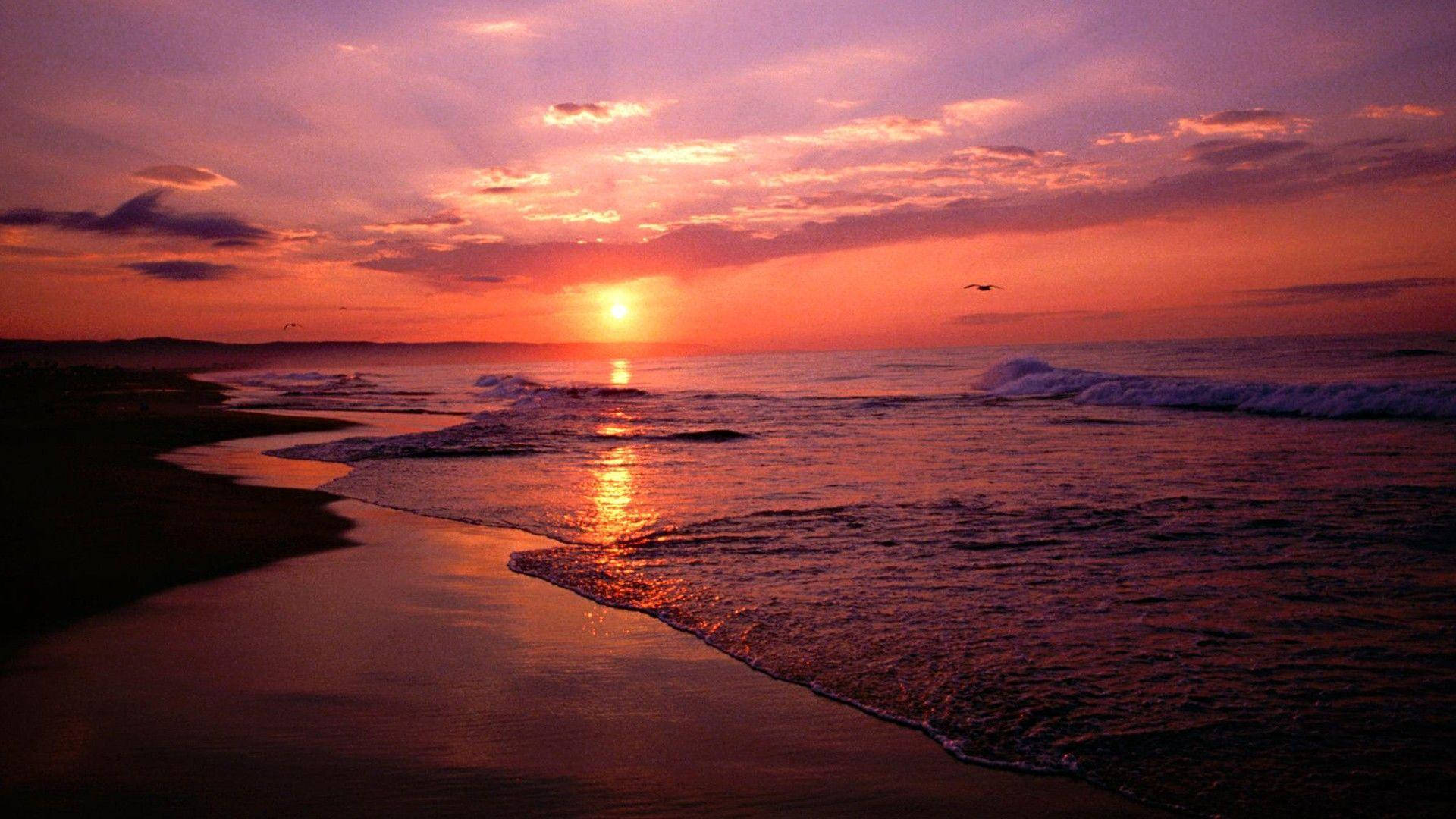 海灘日落 桌布 壁紙 — 充滿活力的夕陽將海洋和天空染成火熱的橙色和紫色色調，海浪輕輕拍打著深色沙灘。