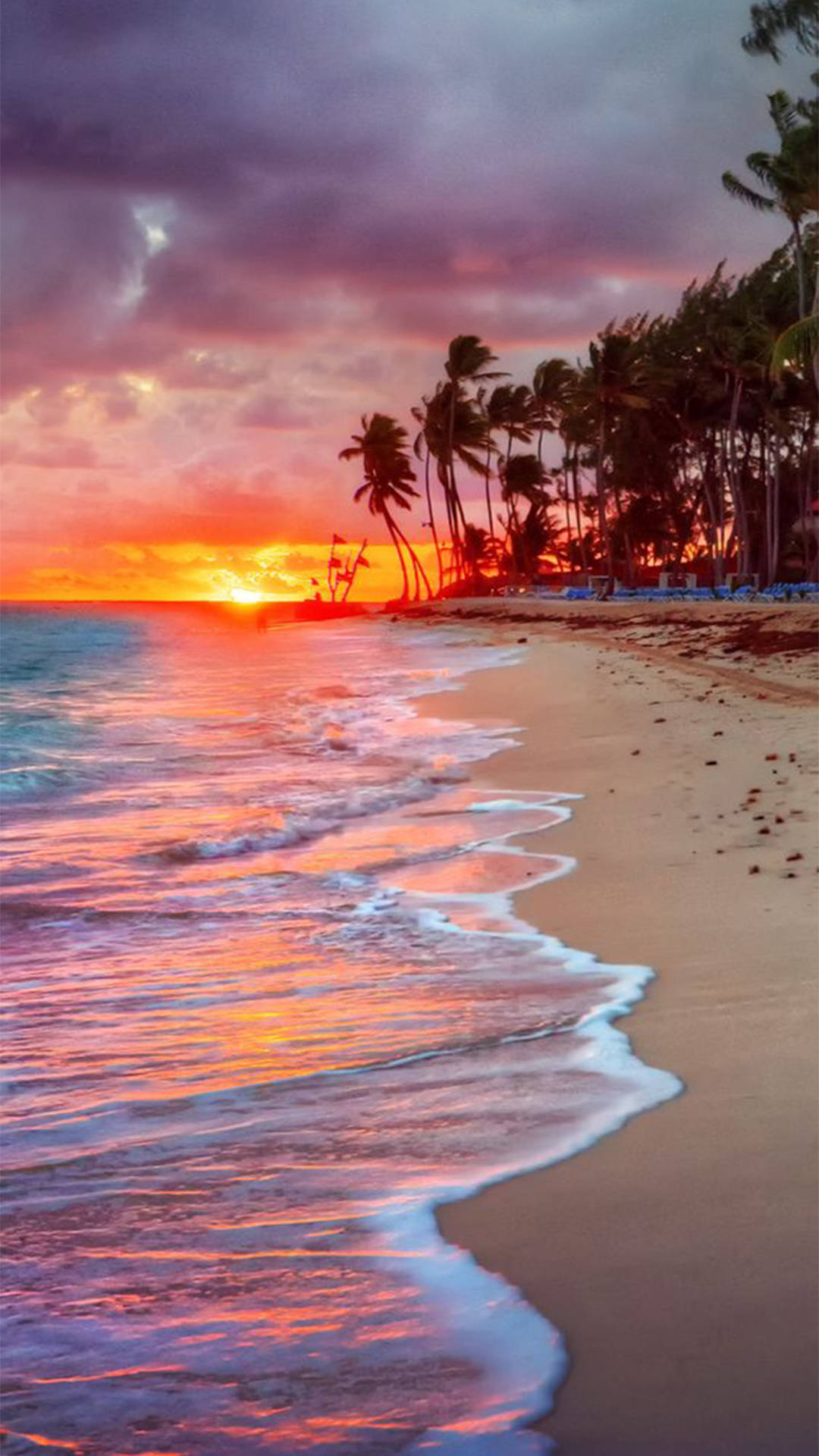 Sunset iPhone 桌布 壁紙 — 充滿活力的夕陽將海洋和沙灘染成火熱的橙色和粉紅色調，海浪輕輕拍打棕櫚樹。