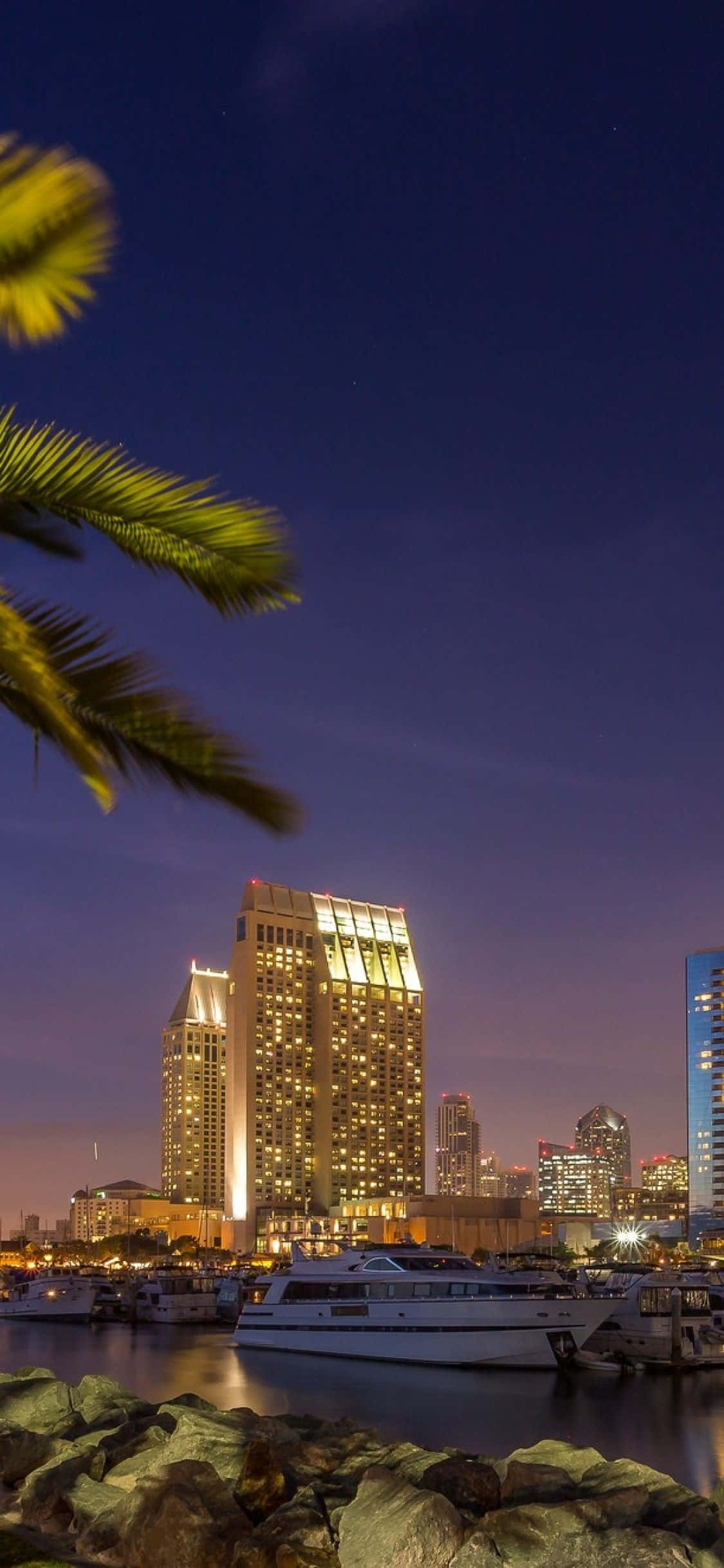 San Diego iPhone 桌布 壁紙 — 充滿活力的夜景，發光的摩天大樓倒映在平靜的水面上，由棕櫚葉和岩石前景構成框架。