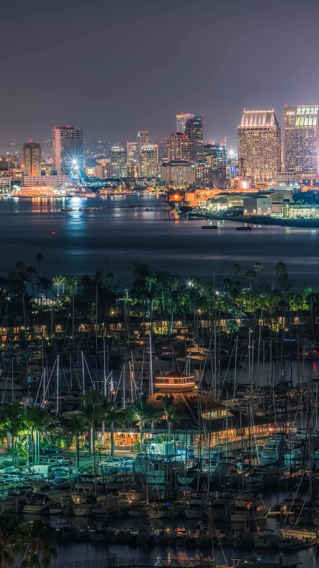 San Diego iPhone 桌布 壁紙 — 充滿活力的夜間城市景觀，發光的摩天大樓倒映在水面上，上方是停滿船隻和棕櫚樹的碼頭。