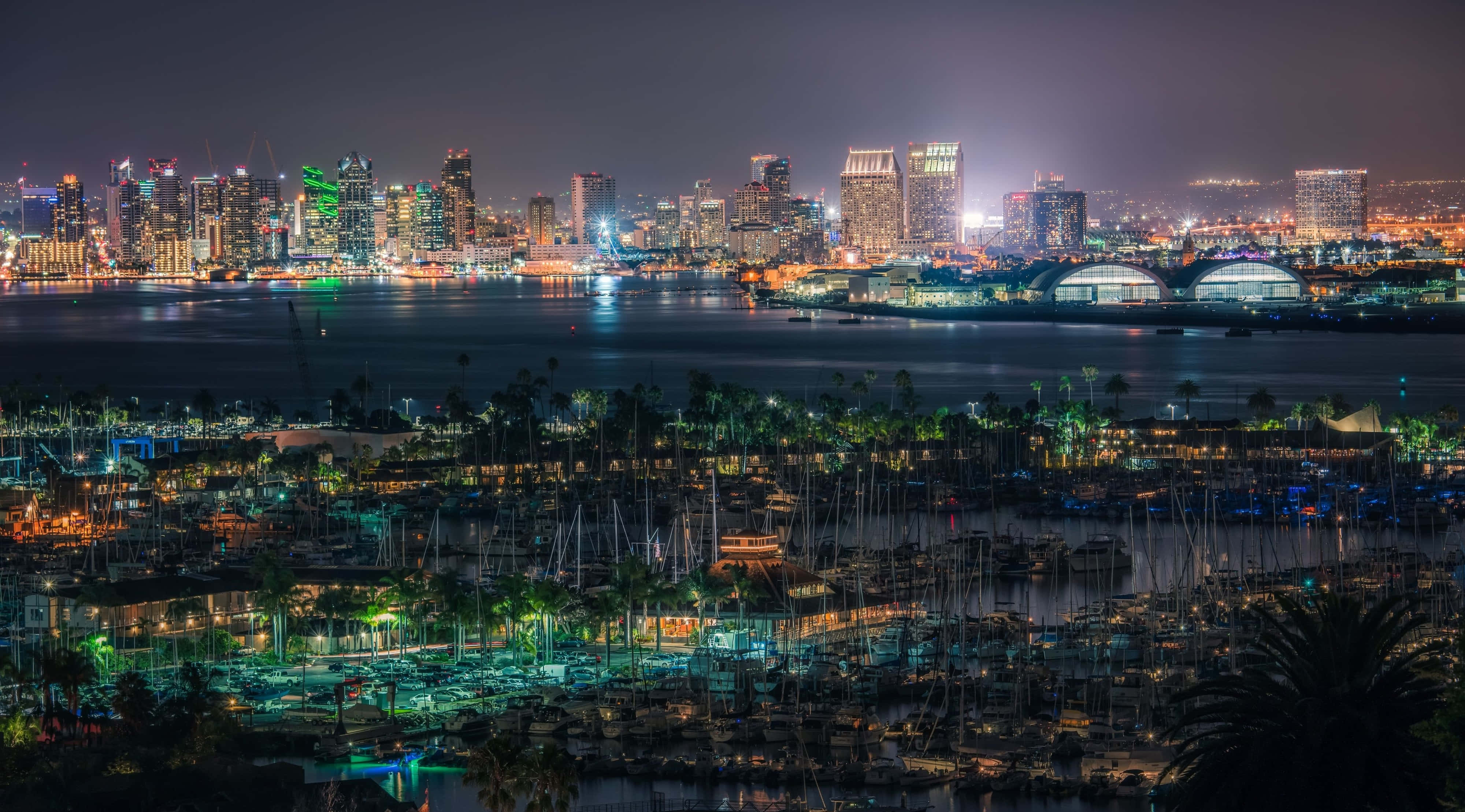 桌布 壁紙 — 充滿活力的夜間城市景觀，碼頭停滿船隻，棕櫚樹在城市燈光下閃耀。