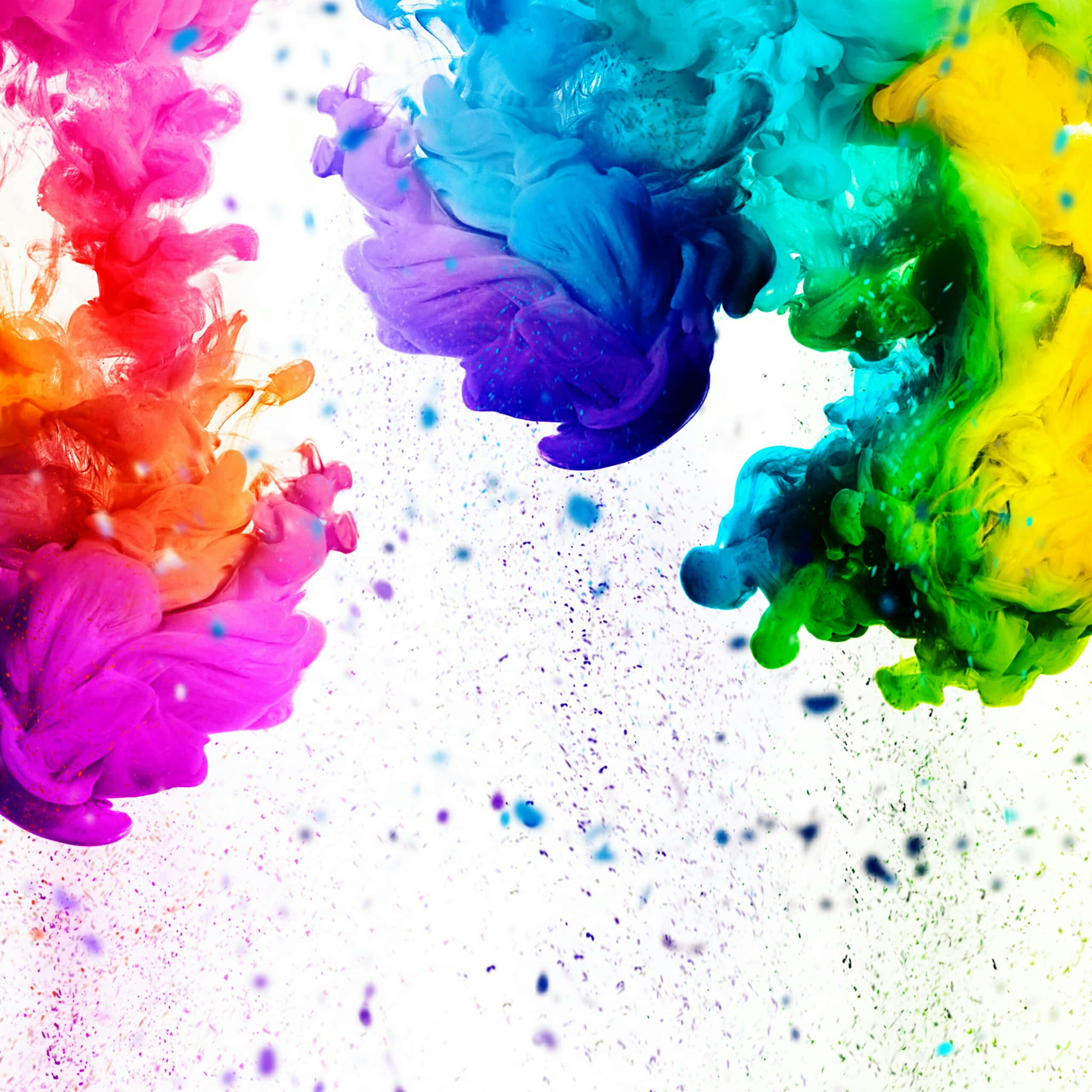 Splash 桌布 壁紙 — 充滿活力的彩虹墨水漩渦在純白背景上爆炸，形成動態抽象爆發。