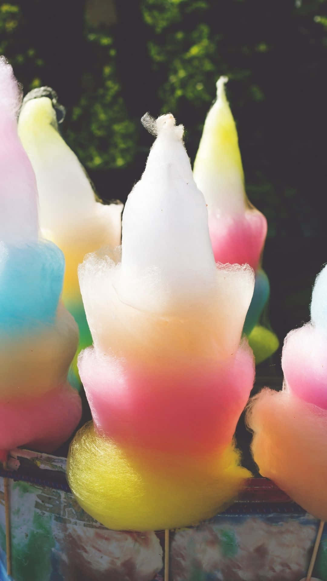 Cotton Candy 桌布 壁紙 — 充滿活力的彩虹棉花糖筒在柔和日光下閃閃發光，背景是模糊的綠色樹葉。