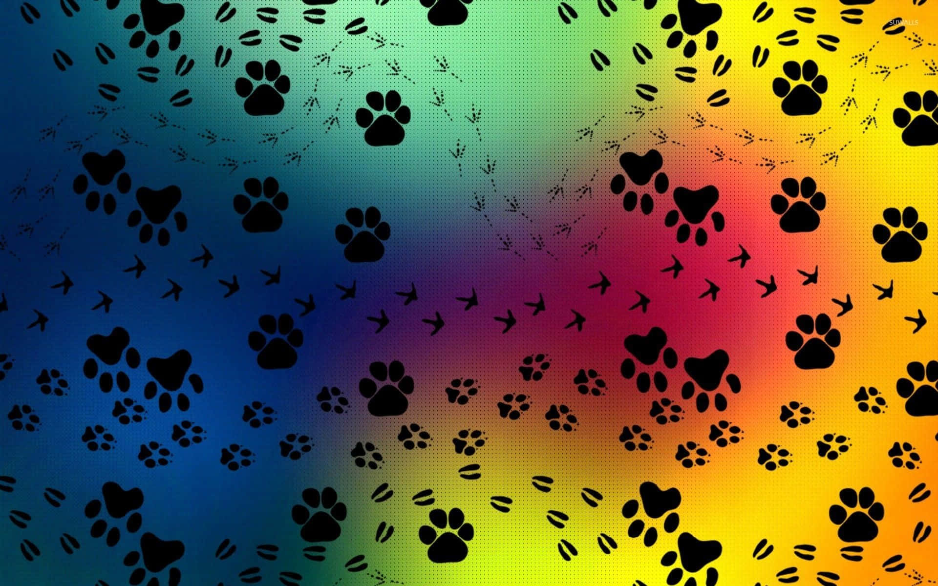 paws 桌布 壁紙 — 充滿活力的彩虹漸變背景，點綴著散落的黑色腳印和鳥類剪影。