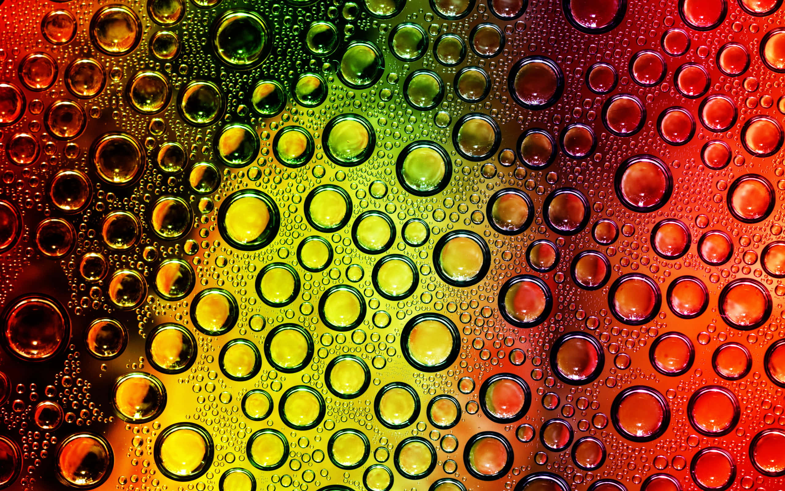 Bubbles 桌布 壁紙 — 充滿活力的彩虹色水滴在表面上閃閃發光，形成迷人的抽象圖案。