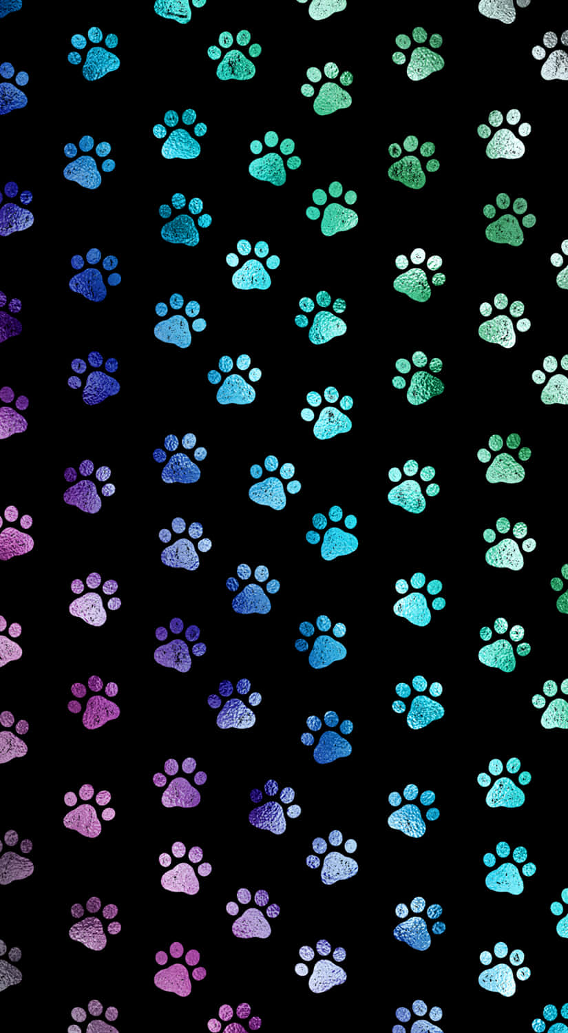 paws 桌布 壁紙 — 充滿活力的彩虹色爪印，以藍色、紫色和綠色的漸變在純黑色背景上閃爍。