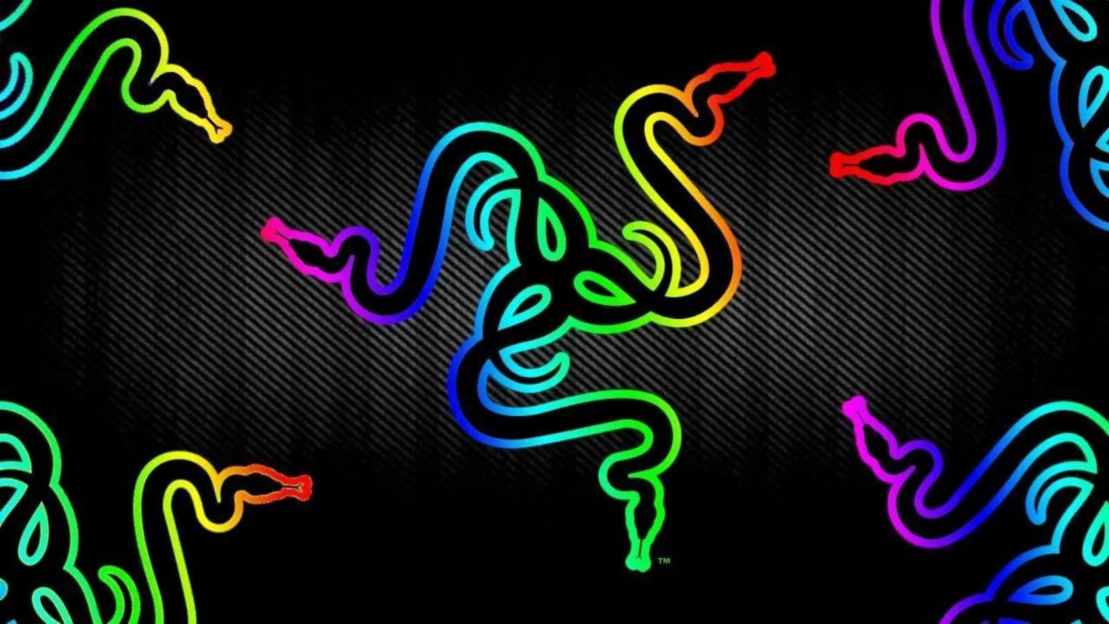 雷蛇 桌布 壁紙 — 充滿活力的彩虹霓虹 Razer 標誌蛇在紋理黑色碳纖維背景上滑行。