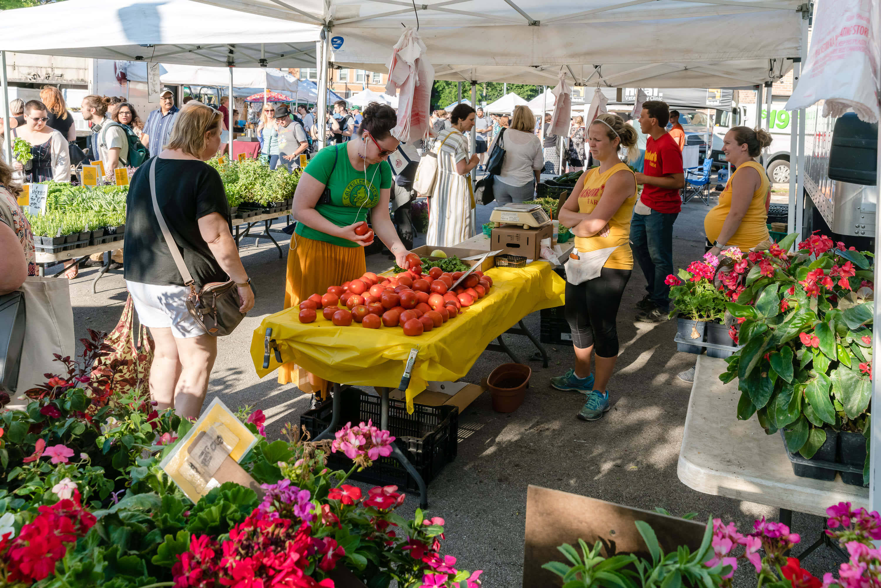 Farmers Market 桌布 壁紙 — 充滿活力的戶外農夫市集，購物者在白色帳篷下瀏覽新鮮番茄和色彩繽紛的花朵。