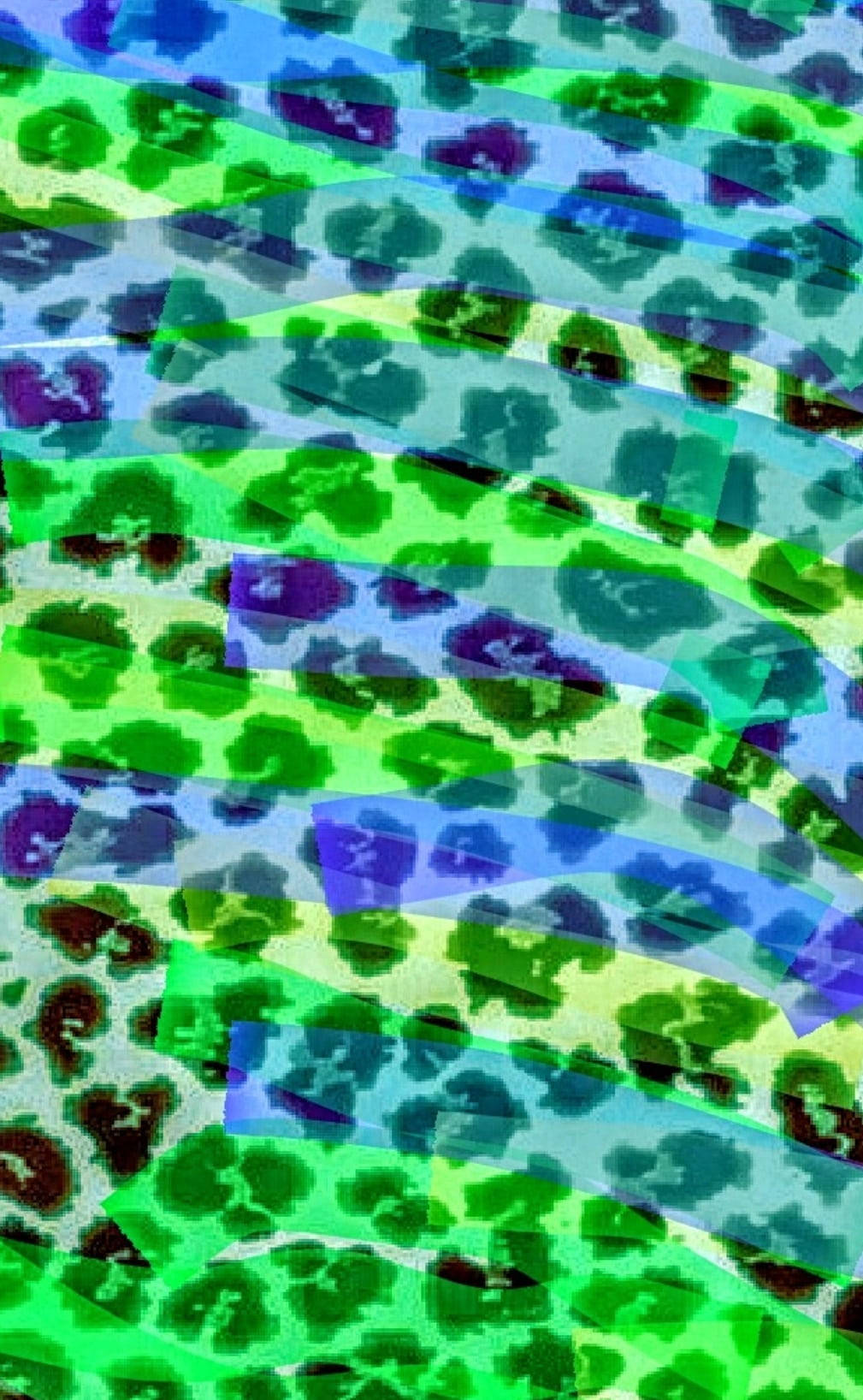 Leopard Print 桌布 壁紙 — 充滿活力的抽象圖案，由綠色、藍色和紫色的豹紋條紋層疊而成。