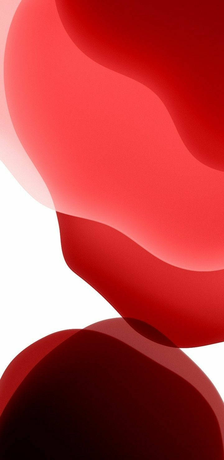 紅色動圖 桌布 壁紙 — 充滿活力的抽象紅色形狀在潔淨的白色背景上優雅流動，呈現極簡數位設計風格。